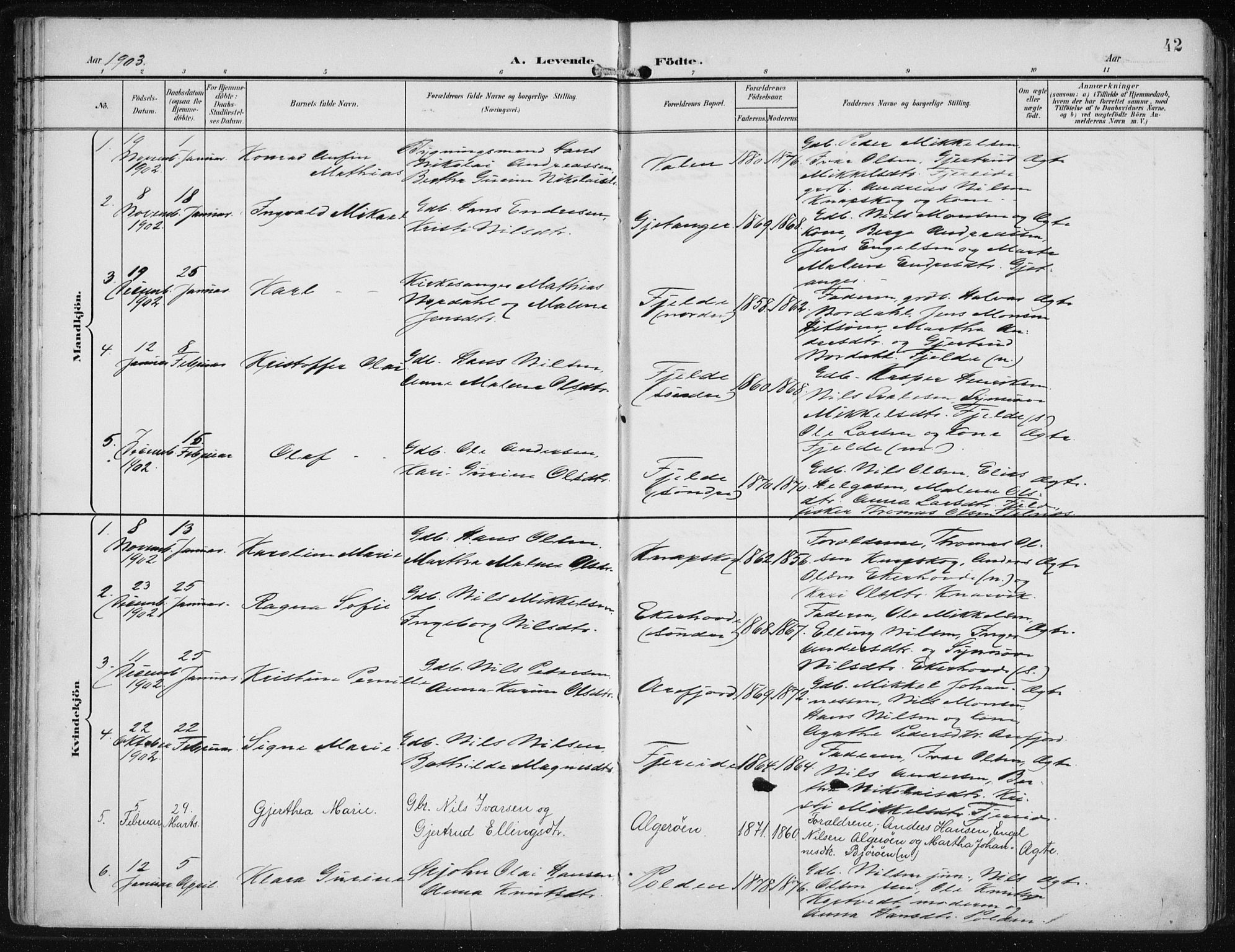 Fjell sokneprestembete, AV/SAB-A-75301/H/Haa: Ministerialbok nr. A  9, 1899-1910, s. 42