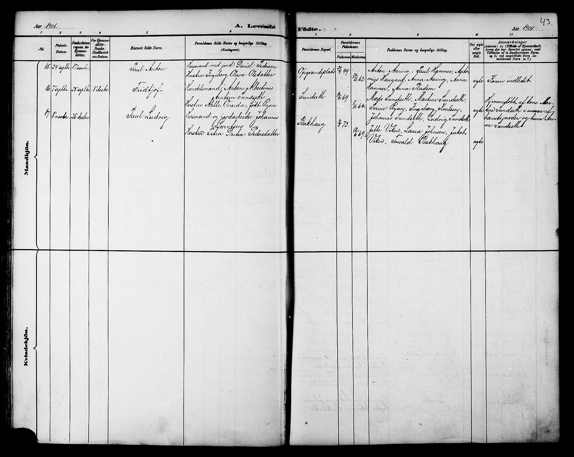 Ministerialprotokoller, klokkerbøker og fødselsregistre - Nord-Trøndelag, AV/SAT-A-1458/733/L0327: Klokkerbok nr. 733C02, 1888-1918, s. 43