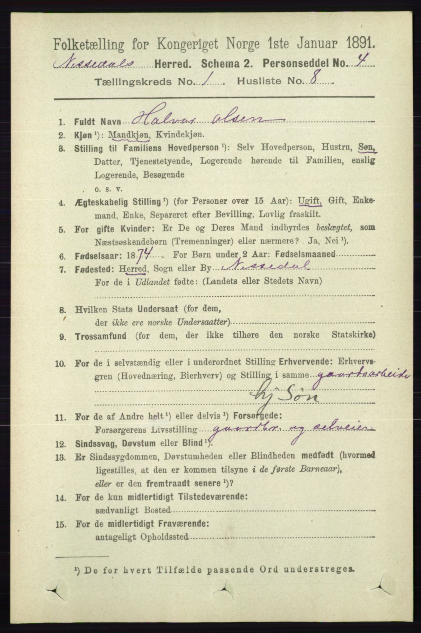 RA, Folketelling 1891 for 0830 Nissedal herred, 1891, s. 113