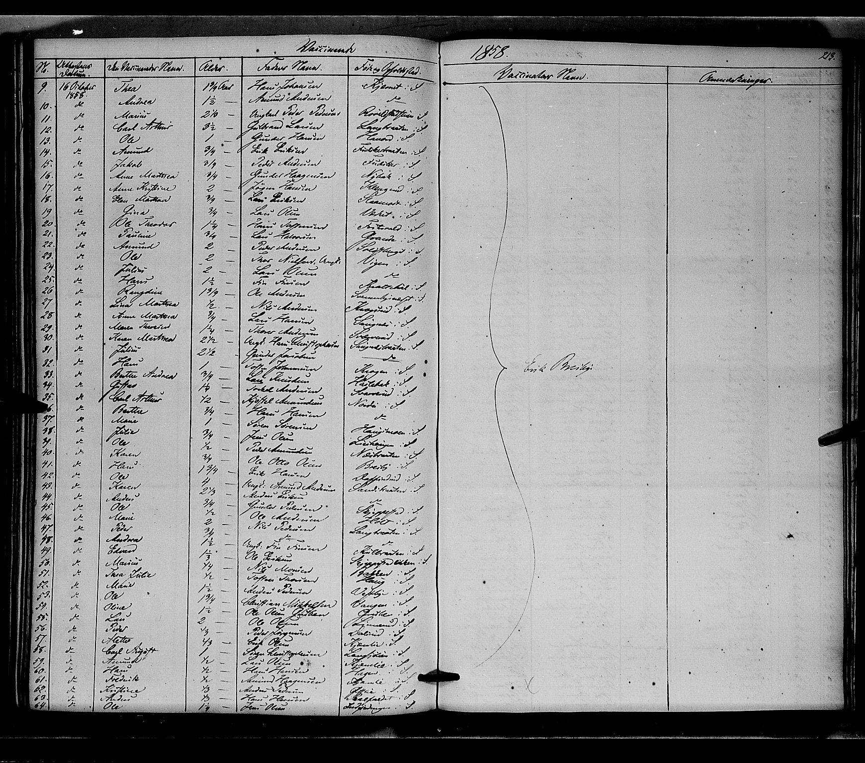 Nord-Odal prestekontor, AV/SAH-PREST-032/H/Ha/Haa/L0003: Ministerialbok nr. 3, 1851-1865, s. 213