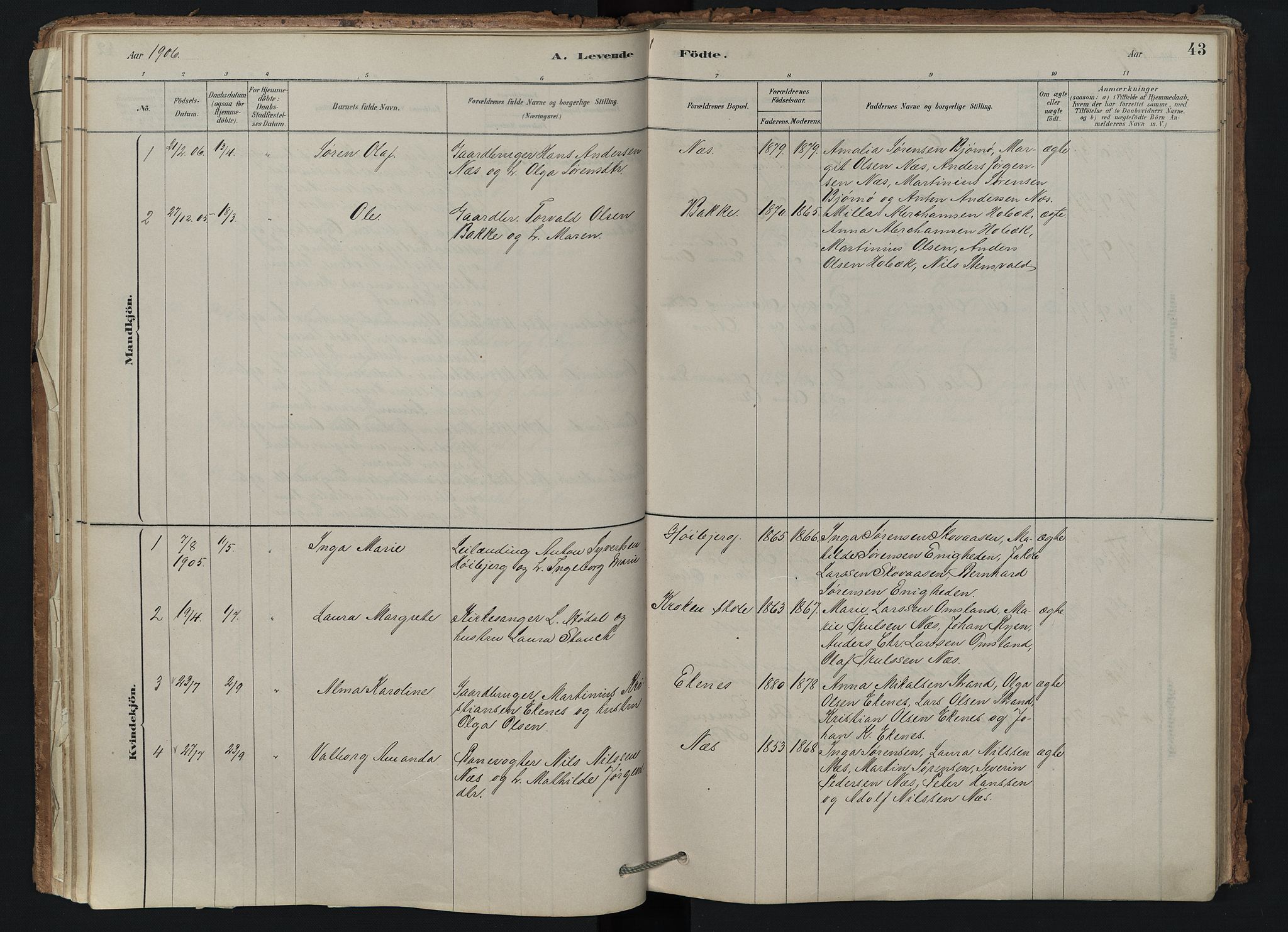 Brunlanes kirkebøker, SAKO/A-342/F/Fd/L0001: Ministerialbok nr. IV 1, 1878-1917, s. 43