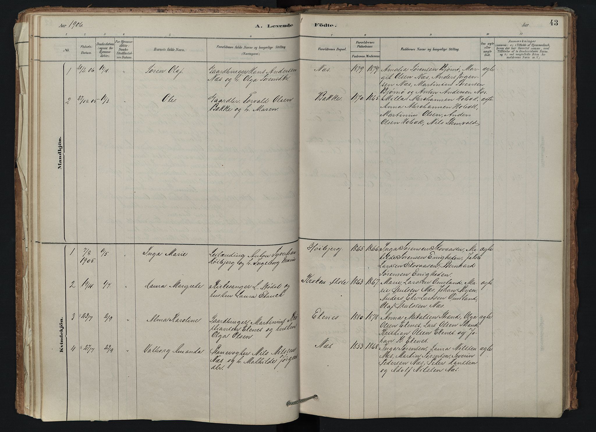 Brunlanes kirkebøker, AV/SAKO-A-342/F/Fd/L0001: Ministerialbok nr. IV 1, 1878-1917, s. 43