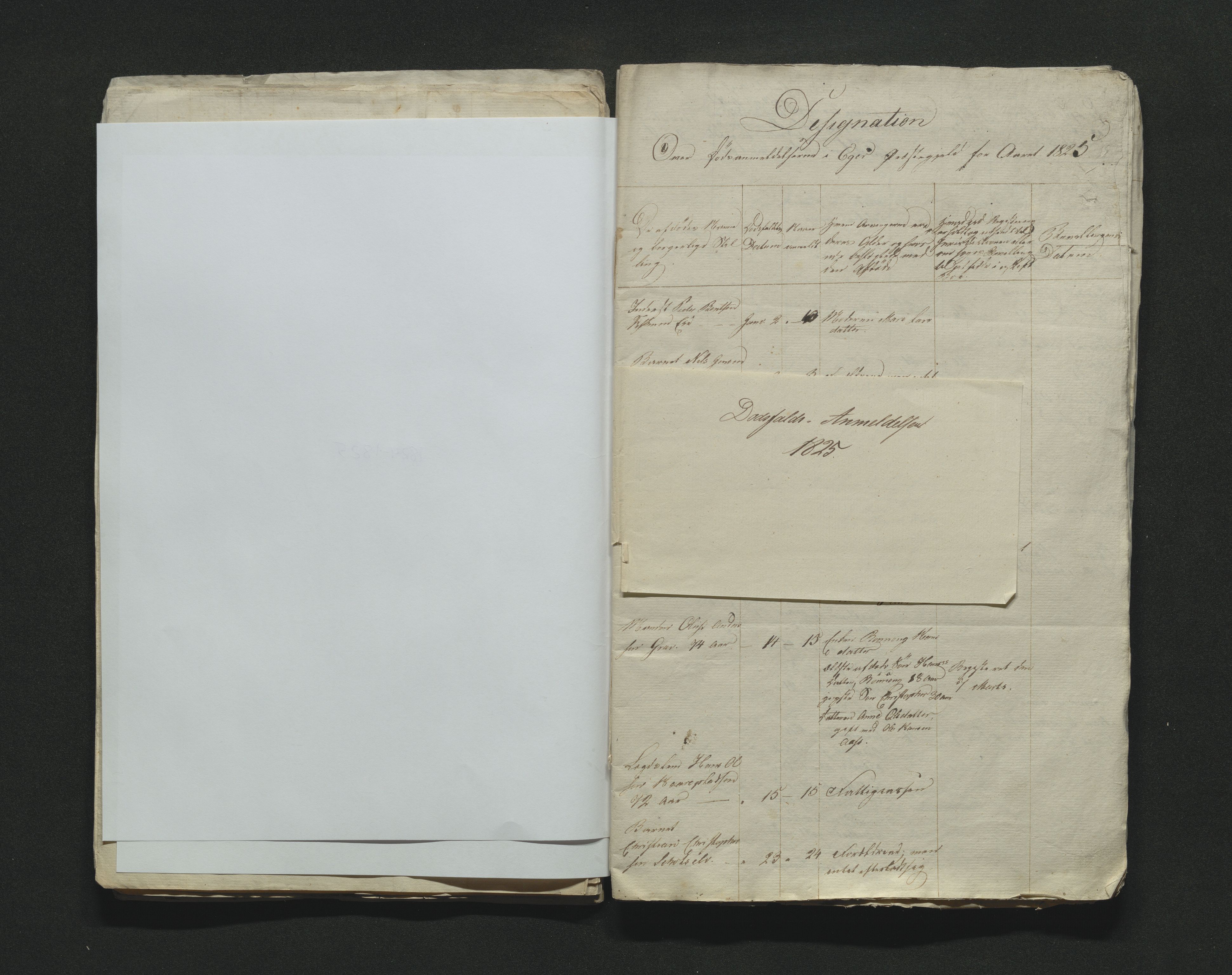 Eiker, Modum og Sigdal sorenskriveri, AV/SAKO-A-123/H/Ha/Hab/L0002: Dødsfallsmeldinger, 1823-1829, s. 37