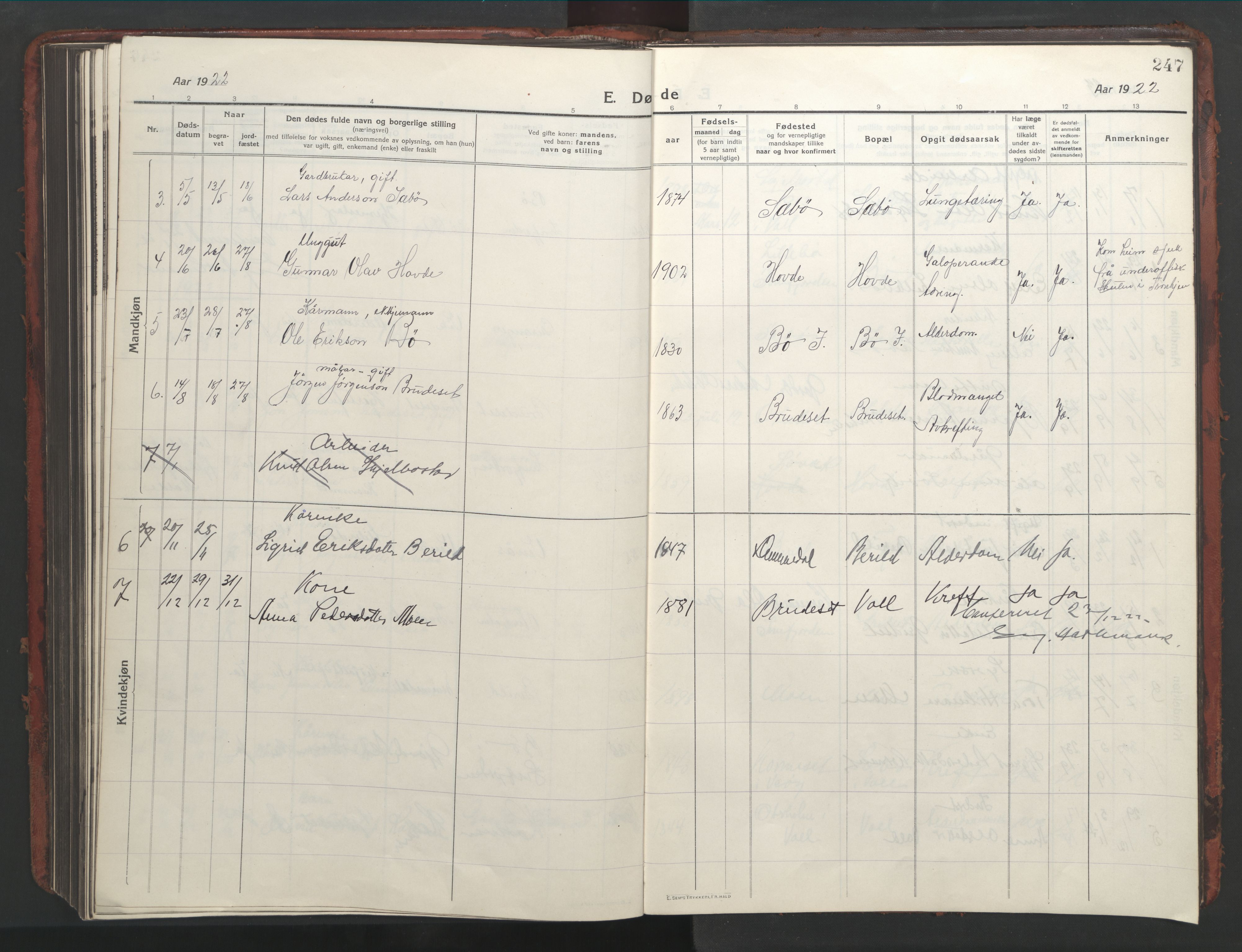 Ministerialprotokoller, klokkerbøker og fødselsregistre - Møre og Romsdal, AV/SAT-A-1454/543/L0565: Klokkerbok nr. 543C03, 1916-1955, s. 247