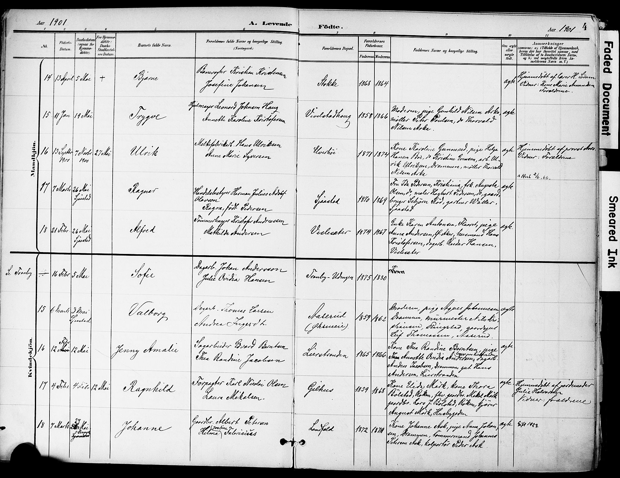 Lier kirkebøker, AV/SAKO-A-230/F/Fa/L0017: Ministerialbok nr. I 17, 1901-1908, s. 4