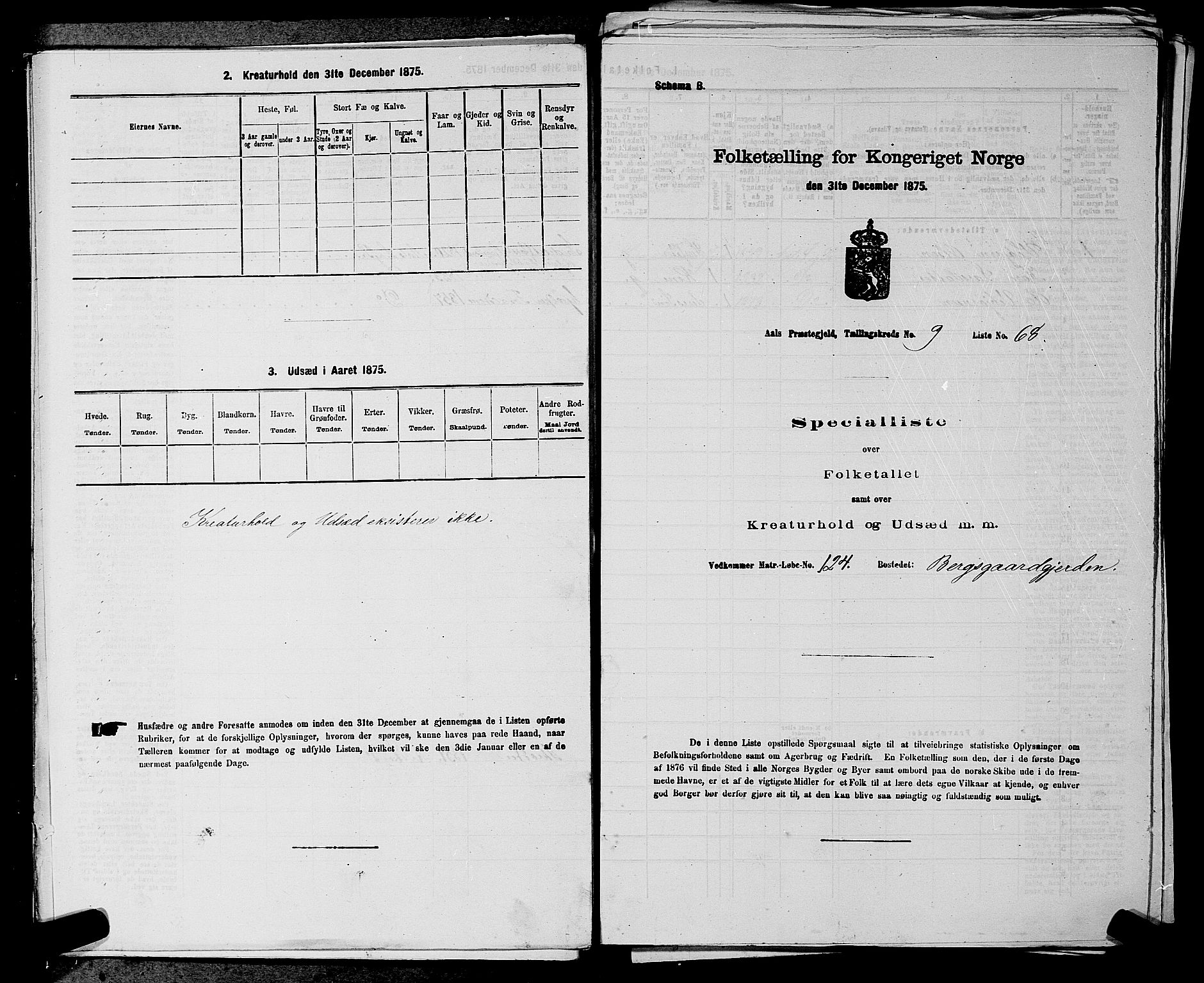 SAKO, Folketelling 1875 for 0619P Ål prestegjeld, 1875, s. 1125