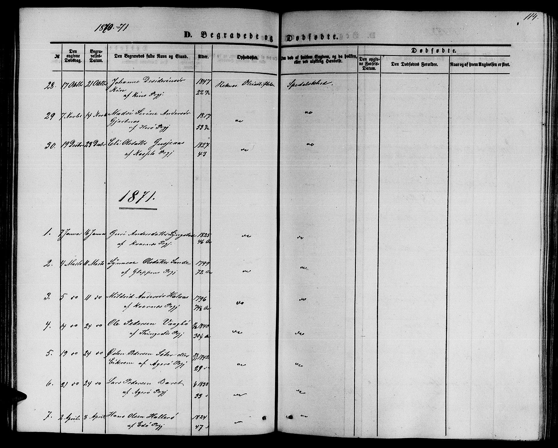 Ministerialprotokoller, klokkerbøker og fødselsregistre - Møre og Romsdal, SAT/A-1454/559/L0713: Ministerialbok nr. 559A01, 1861-1886, s. 114