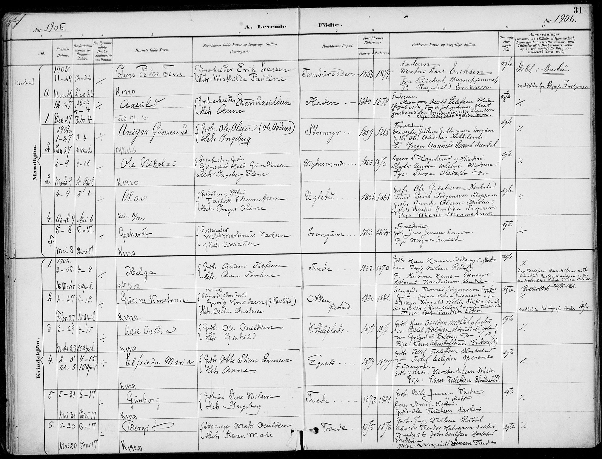 Austre Moland sokneprestkontor, AV/SAK-1111-0001/F/Fa/Faa/L0011: Ministerialbok nr. A 11, 1894-1915, s. 31