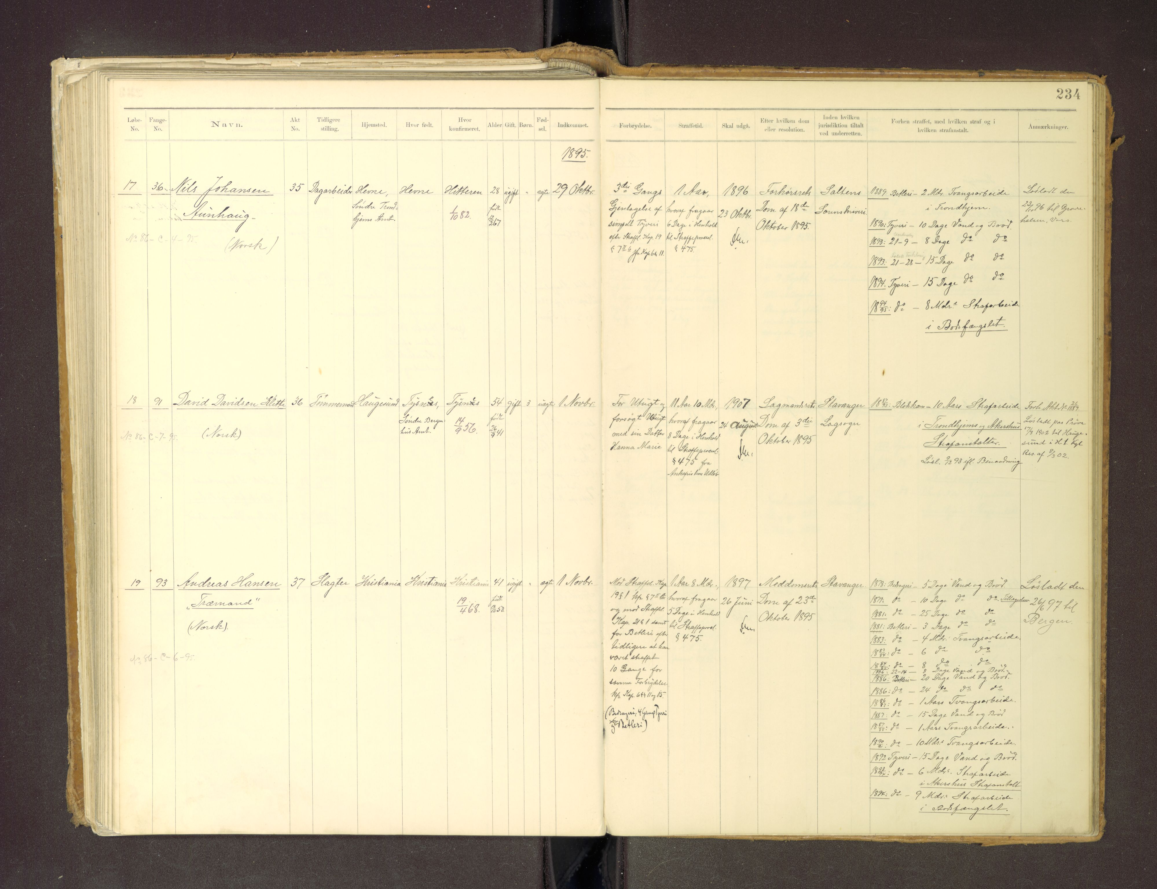 Trondheim tukthus, SAT/A-4619/05/65/L0036: 65.36 Fangeprotokoll m/reg, 1885-1898, s. 234