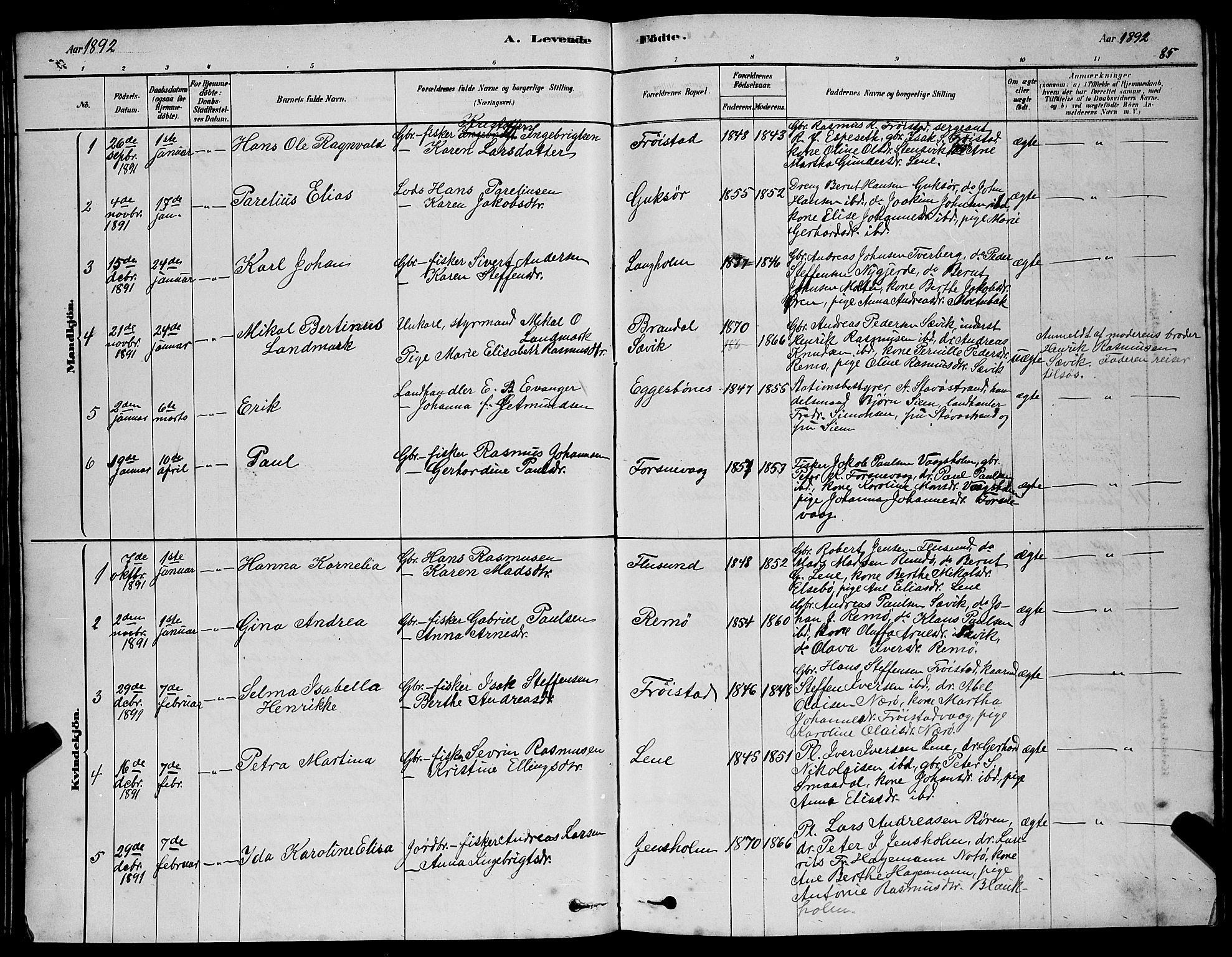 Ministerialprotokoller, klokkerbøker og fødselsregistre - Møre og Romsdal, AV/SAT-A-1454/507/L0081: Klokkerbok nr. 507C04, 1878-1898, s. 85