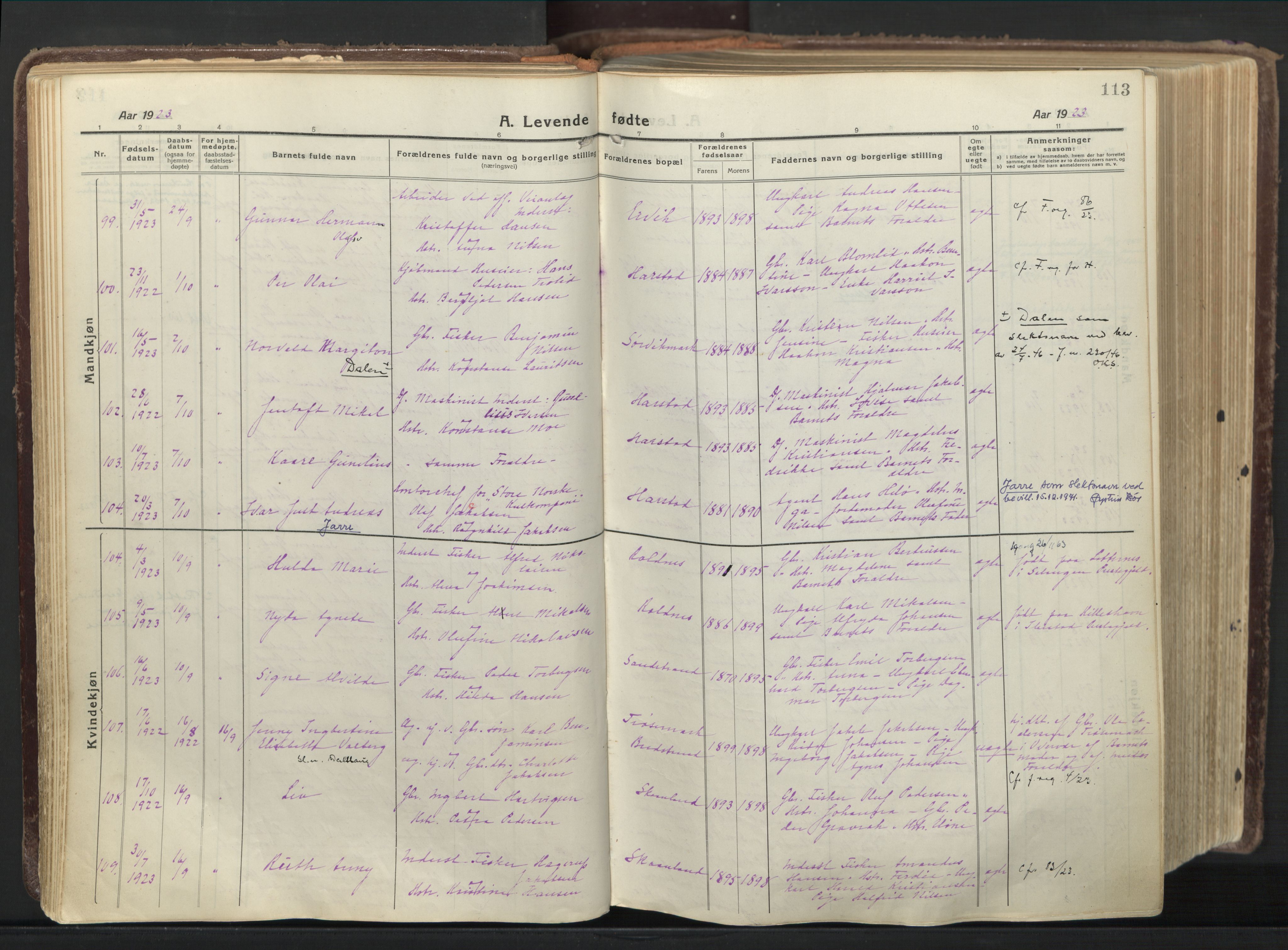 Trondenes sokneprestkontor, AV/SATØ-S-1319/H/Ha/L0019kirke: Ministerialbok nr. 19, 1919-1928, s. 113