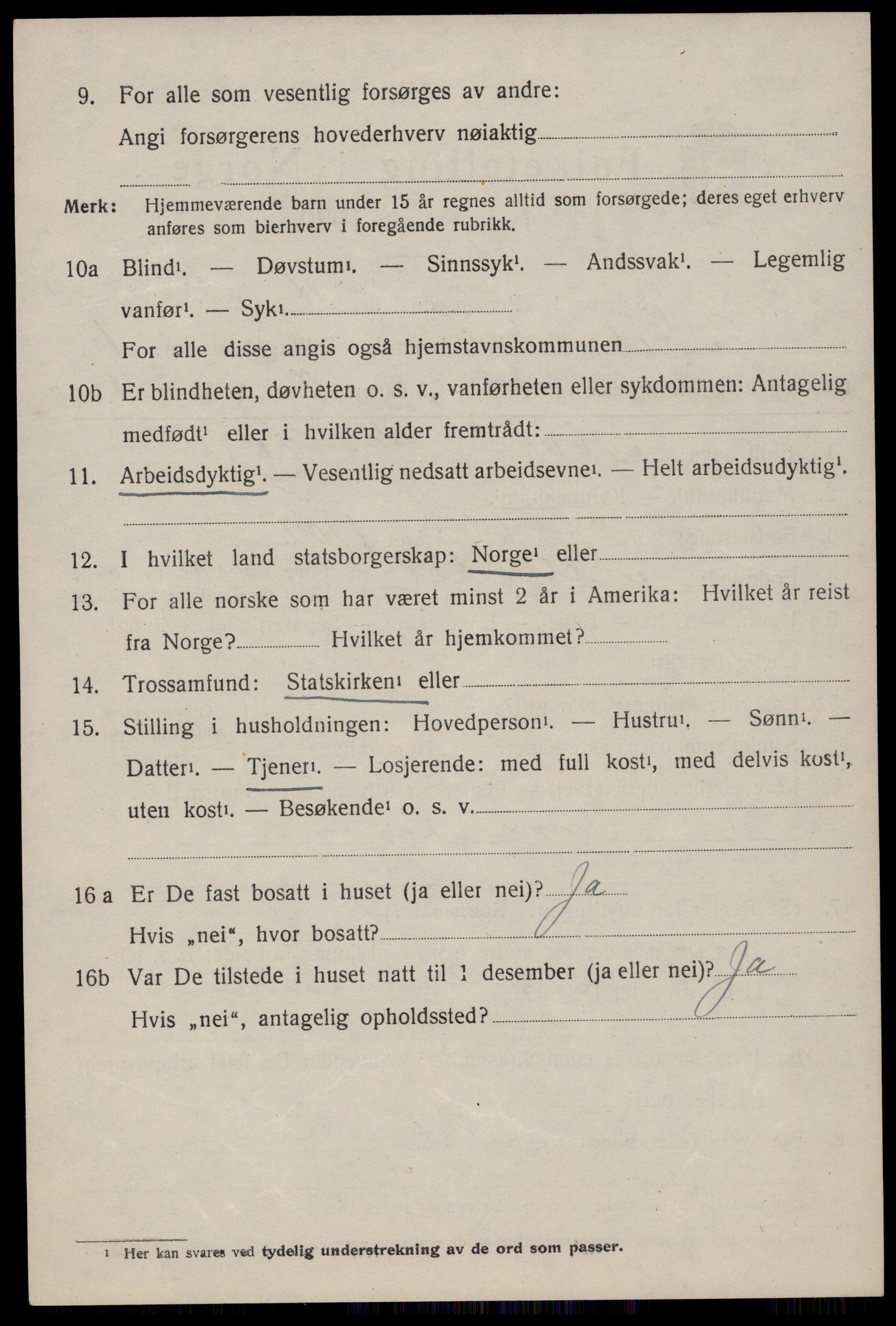 SAKO, Folketelling 1920 for 0830 Nissedal herred, 1920, s. 1248