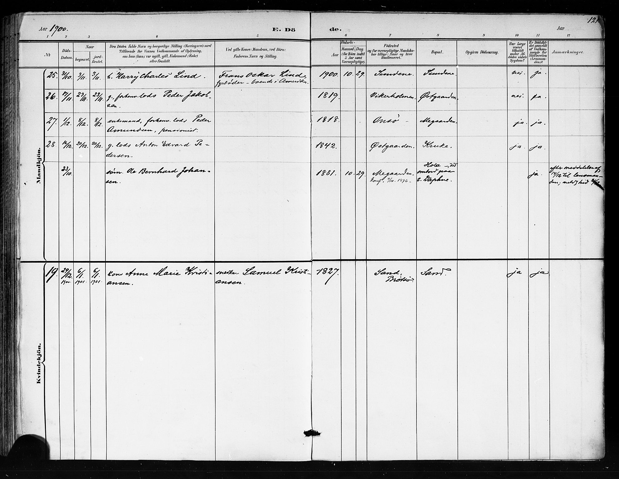 Tjøme kirkebøker, AV/SAKO-A-328/F/Fa/L0003: Ministerialbok nr. I 3, 1891-1900, s. 121