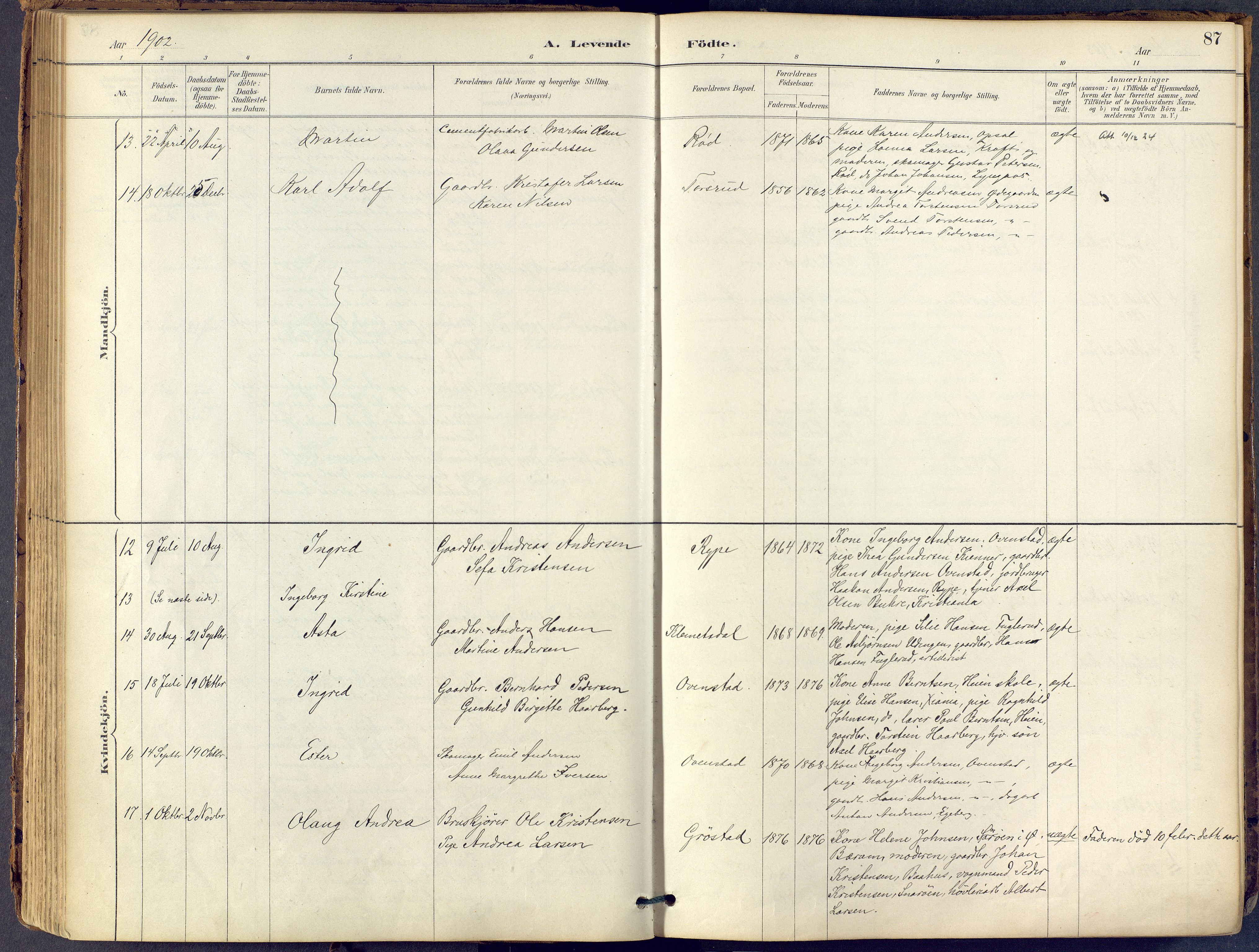 Lier kirkebøker, AV/SAKO-A-230/F/Fb/L0001: Ministerialbok nr. II 1, 1883-1910, s. 87