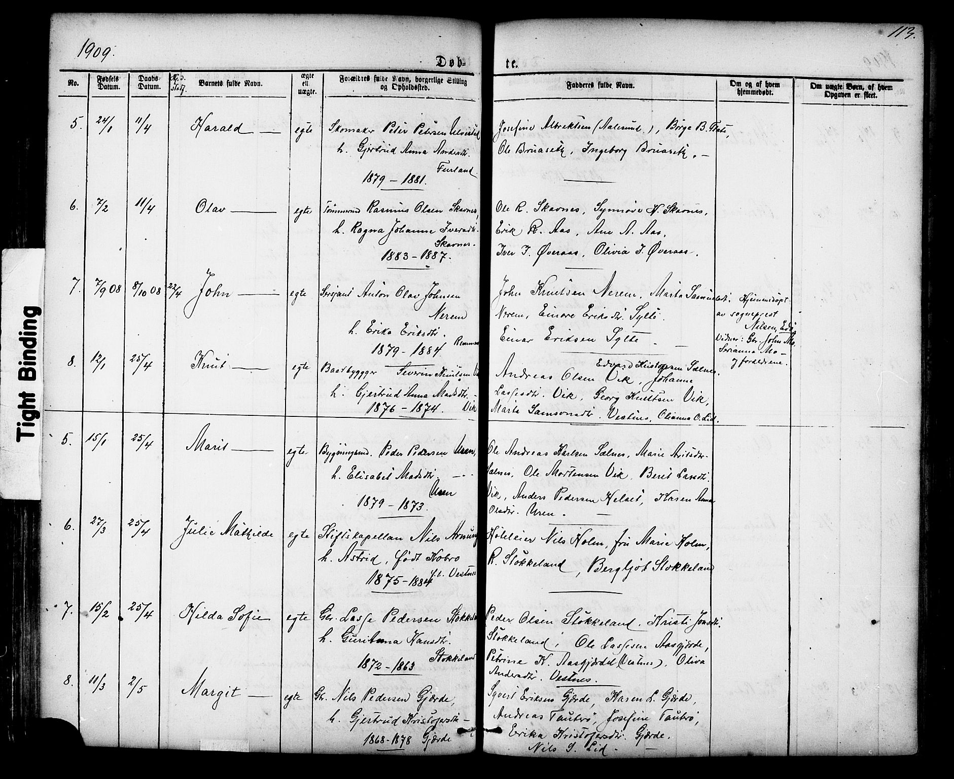 Ministerialprotokoller, klokkerbøker og fødselsregistre - Møre og Romsdal, AV/SAT-A-1454/539/L0536: Klokkerbok nr. 539C02, 1867-1913, s. 113