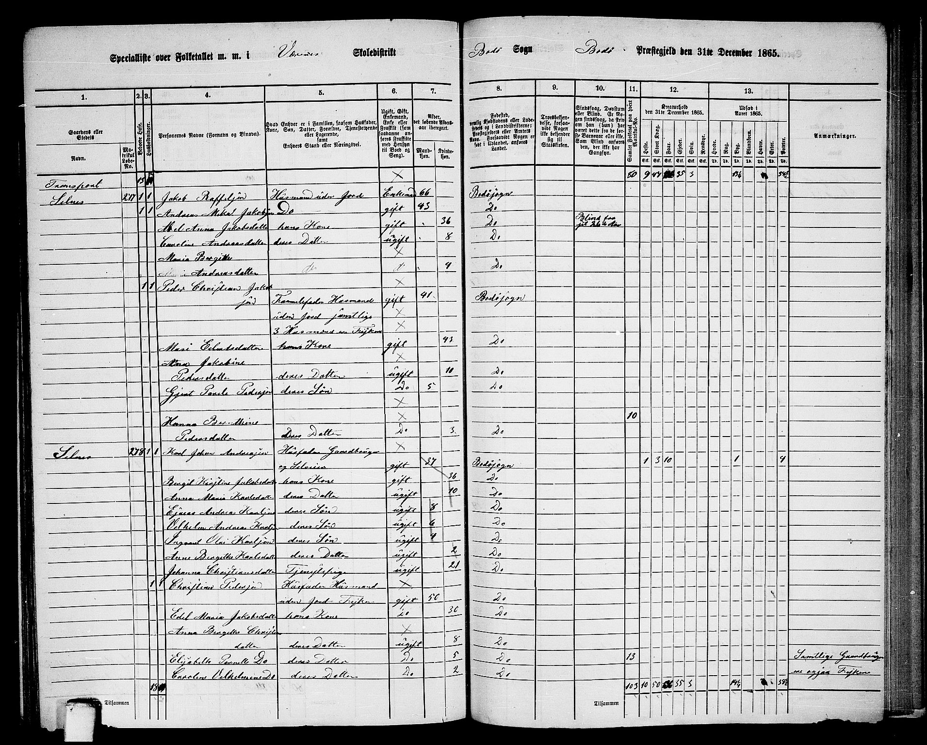 RA, Folketelling 1865 for 1843L Bodø prestegjeld, Bodø landsokn, 1865, s. 140