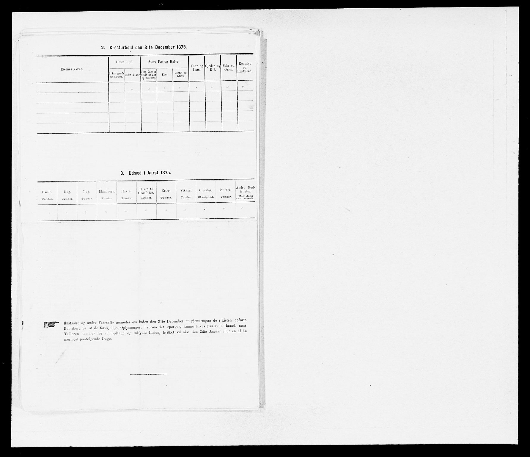 SAB, Folketelling 1875 for 1437L Kinn prestegjeld, Kinn sokn og Svanøy sokn, 1875, s. 317