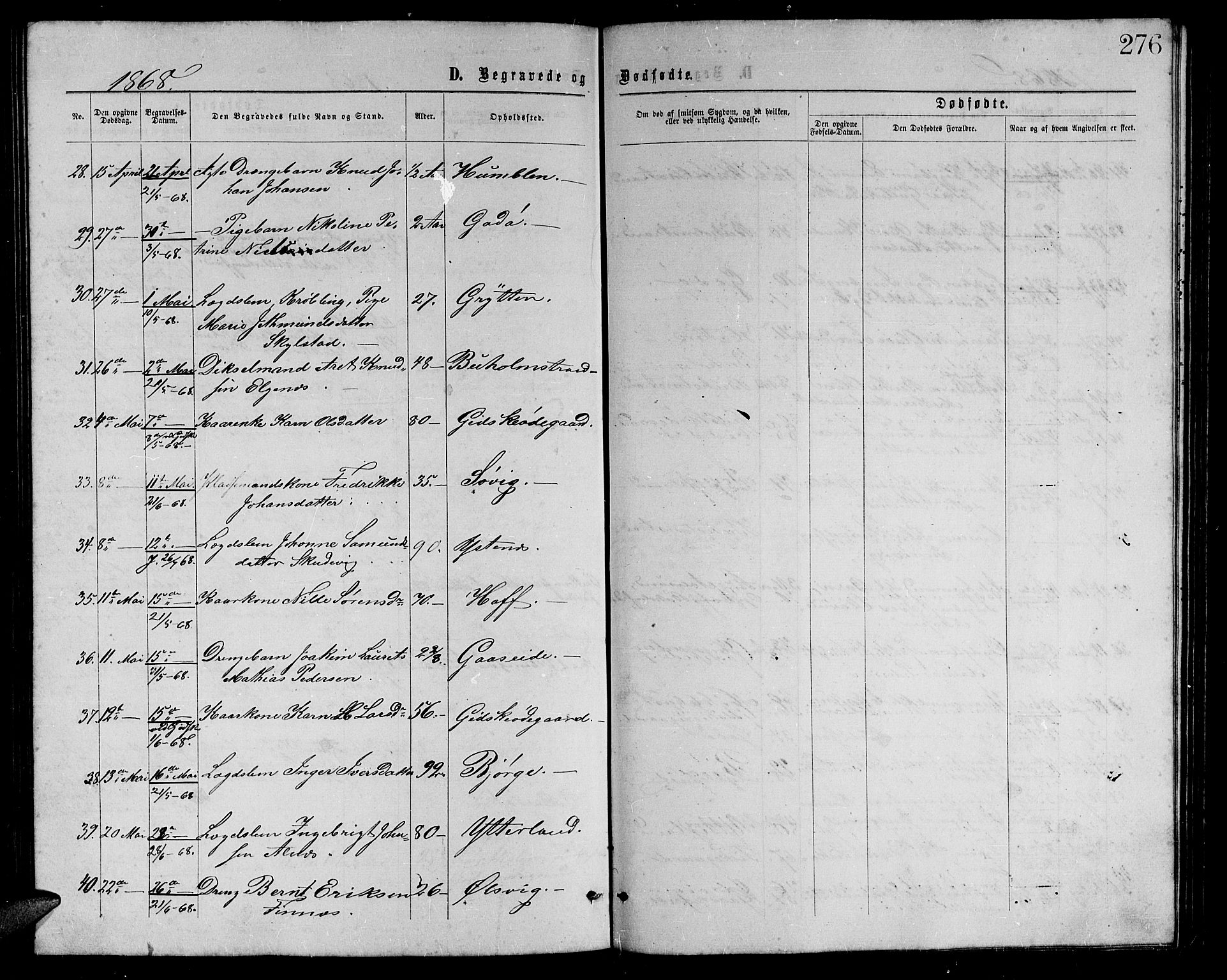 Ministerialprotokoller, klokkerbøker og fødselsregistre - Møre og Romsdal, AV/SAT-A-1454/528/L0428: Klokkerbok nr. 528C09, 1864-1880, s. 276