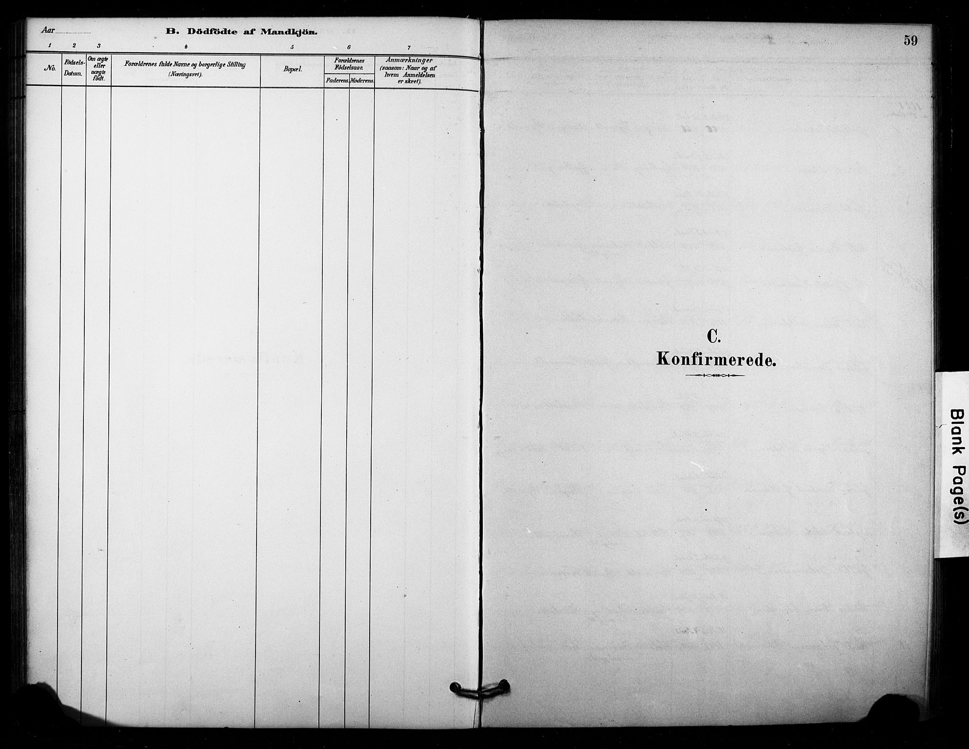 Lardal kirkebøker, SAKO/A-350/F/Fd/L0001: Ministerialbok nr. IV 1, 1881-1907, s. 59