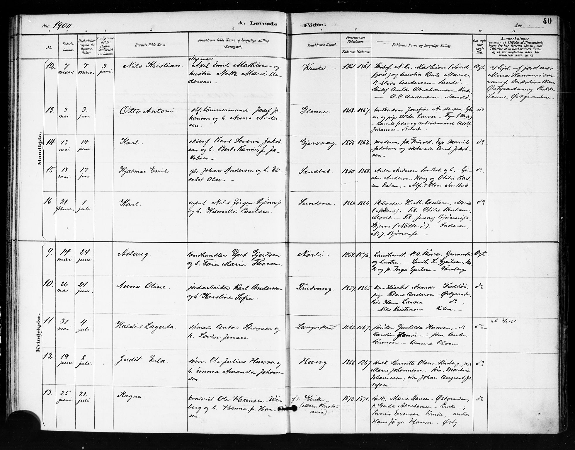 Tjøme kirkebøker, AV/SAKO-A-328/F/Fa/L0003: Ministerialbok nr. I 3, 1891-1900, s. 40
