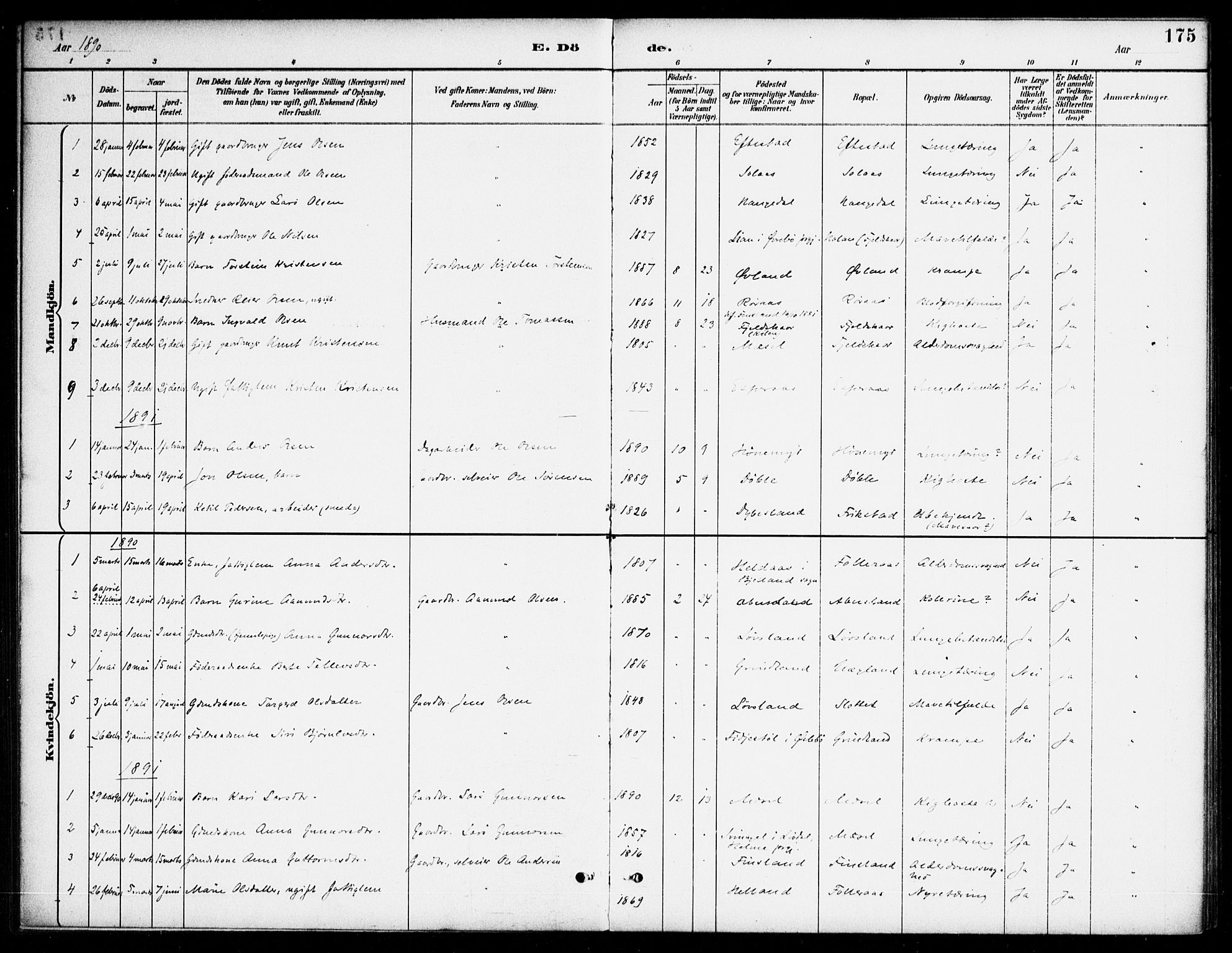 Bjelland sokneprestkontor, SAK/1111-0005/F/Fa/Fab/L0004: Ministerialbok nr. A 4, 1887-1920, s. 175