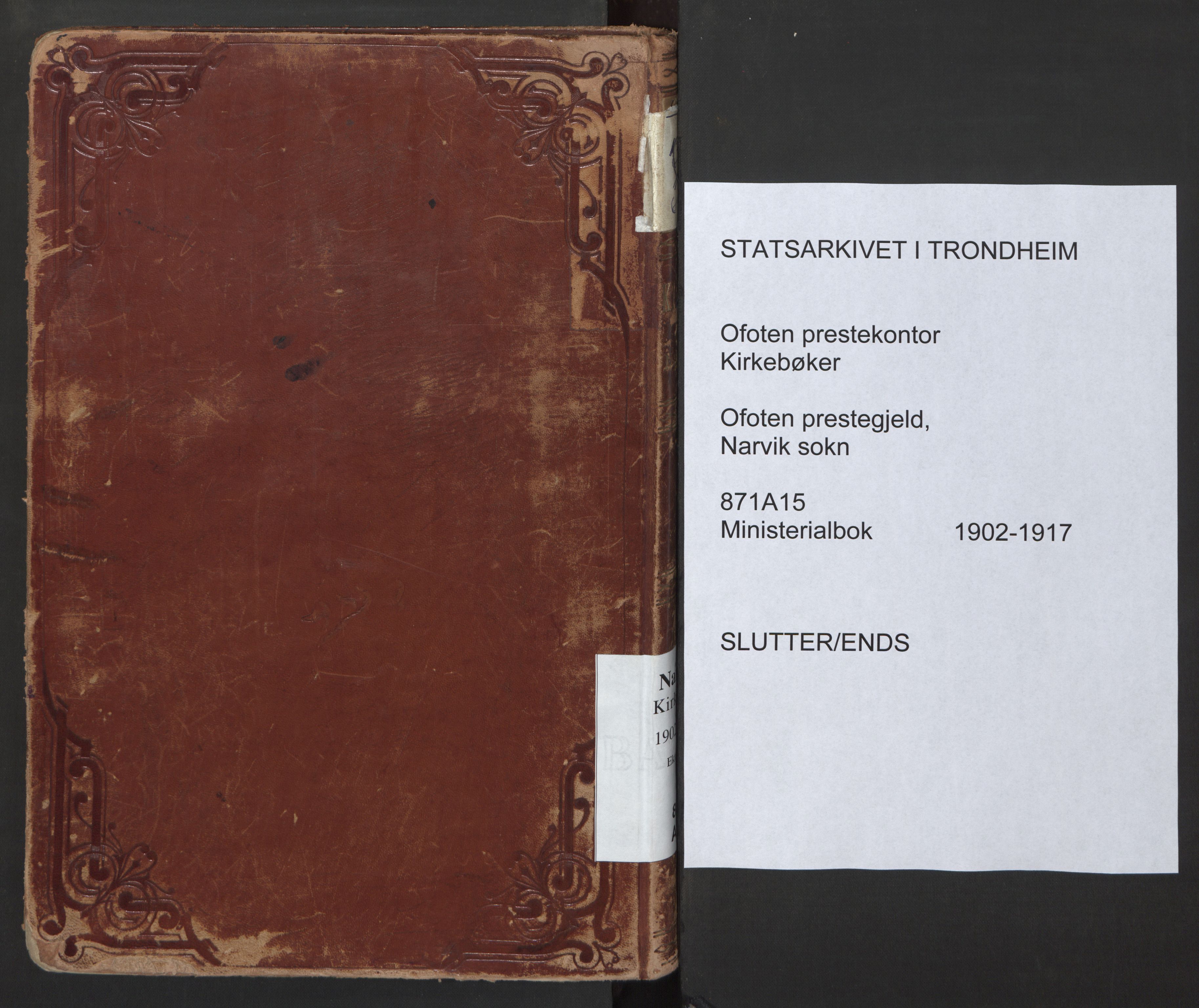 Ministerialprotokoller, klokkerbøker og fødselsregistre - Nordland, AV/SAT-A-1459/871/L0999: Ministerialbok nr. 871A15, 1902-1917