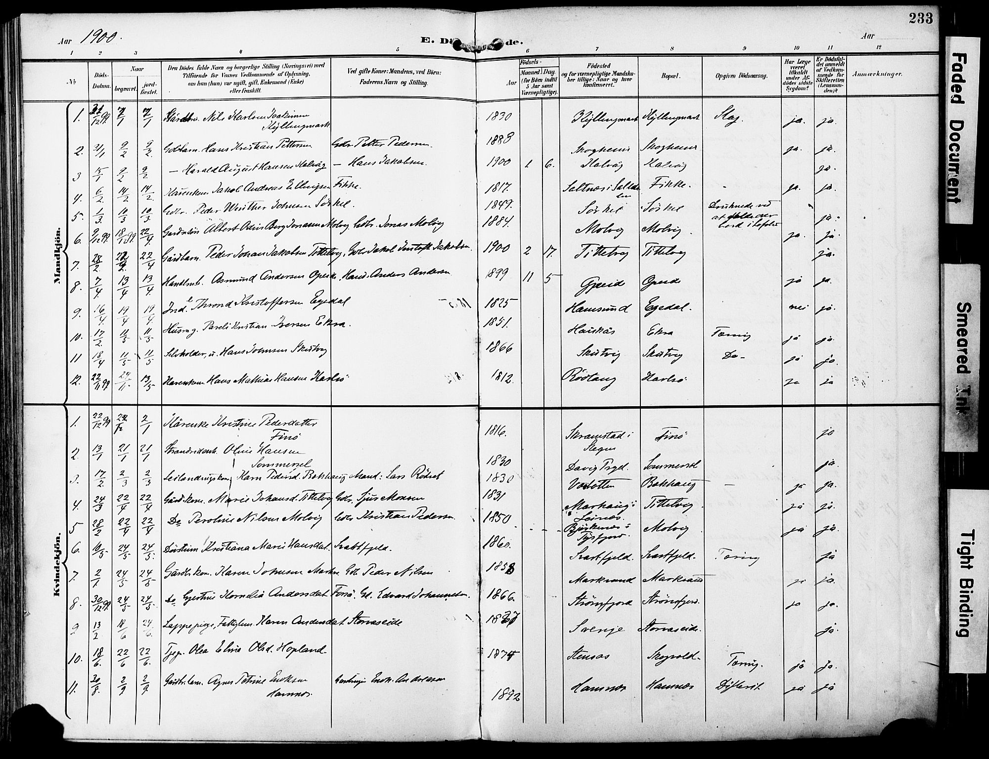 Ministerialprotokoller, klokkerbøker og fødselsregistre - Nordland, AV/SAT-A-1459/859/L0848: Ministerialbok nr. 859A08, 1900-1912, s. 233