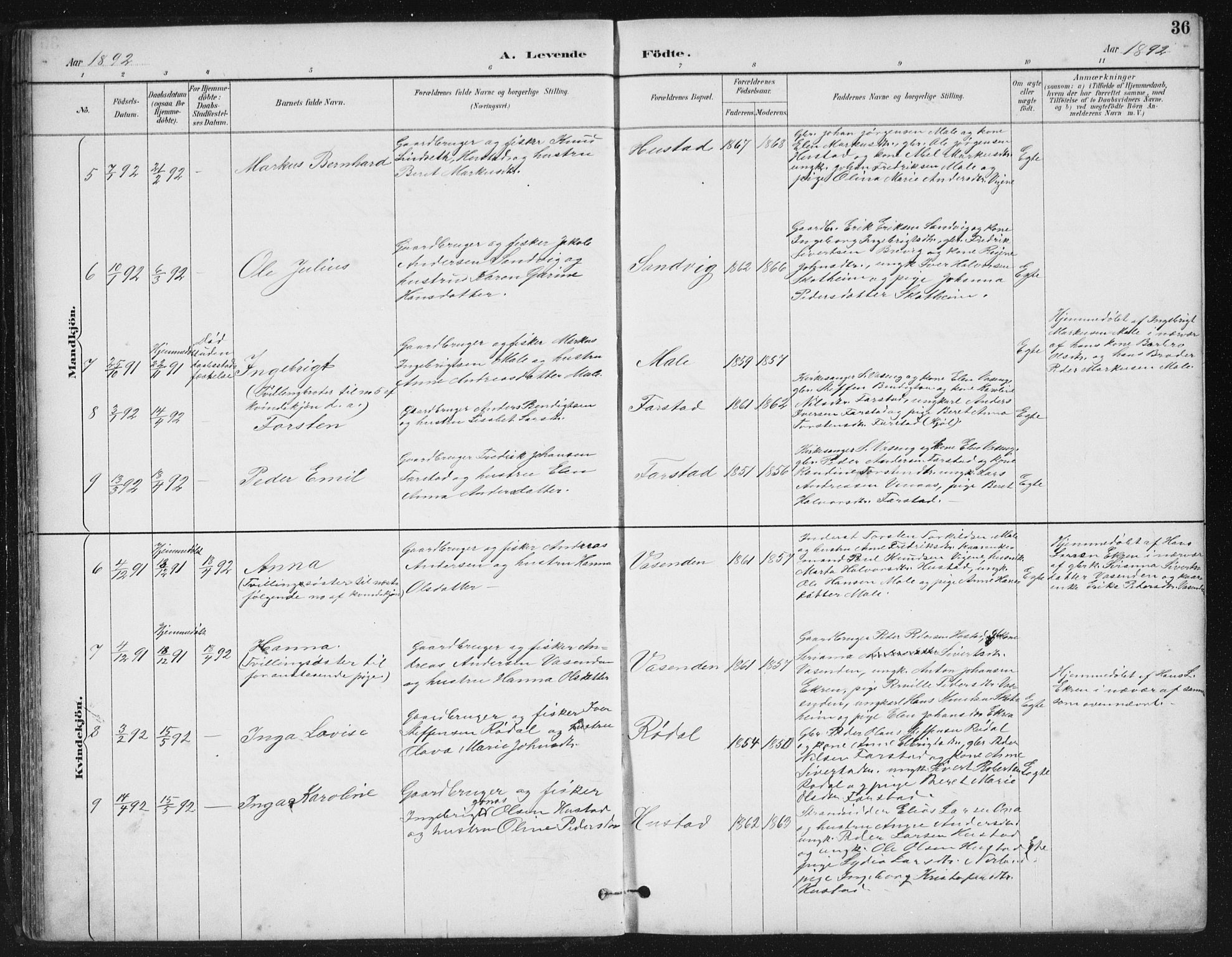 Ministerialprotokoller, klokkerbøker og fødselsregistre - Møre og Romsdal, AV/SAT-A-1454/567/L0783: Klokkerbok nr. 567C03, 1887-1903, s. 36