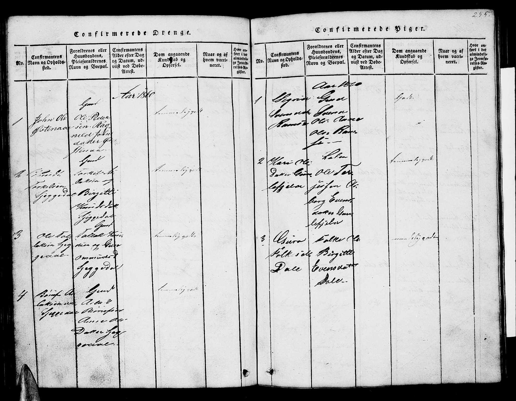 Åmli sokneprestkontor, SAK/1111-0050/F/Fb/Fbb/L0001: Klokkerbok nr. B 1, 1816-1889, s. 255