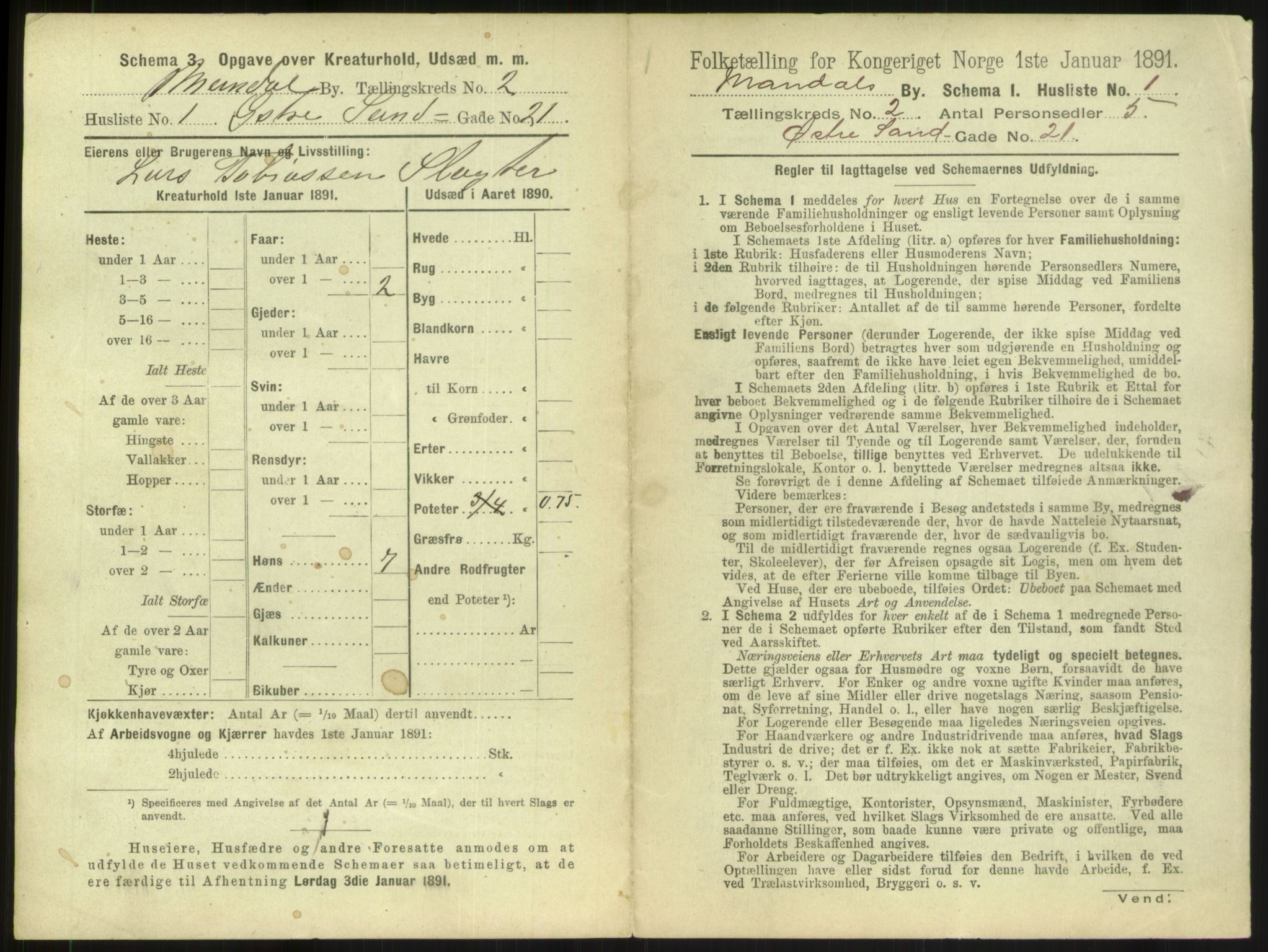 RA, Folketelling 1891 for 1002 Mandal ladested, 1891, s. 115