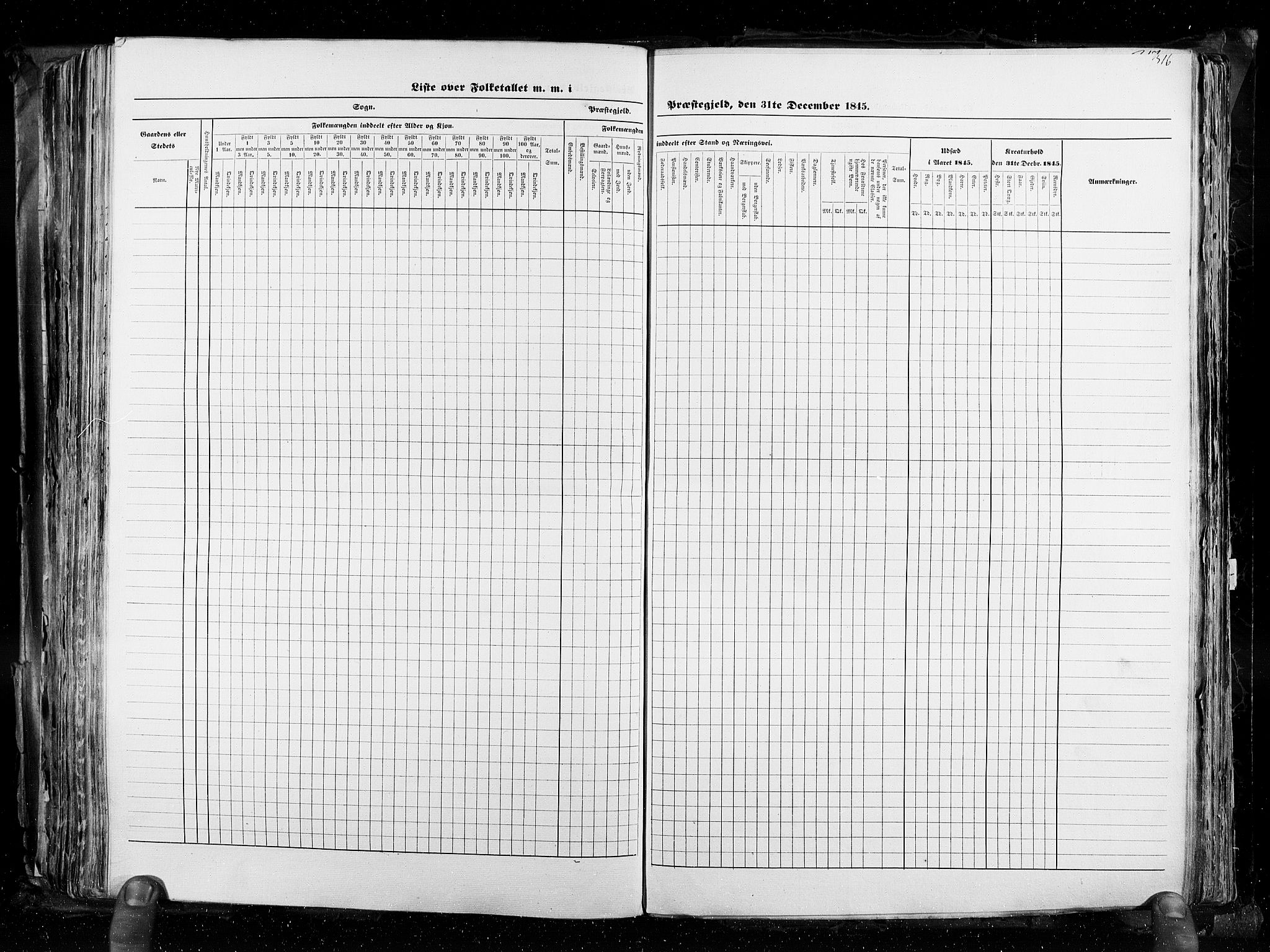 RA, Folketellingen 1845, bind 3: Hedemarken amt og Kristians amt, 1845, s. 316