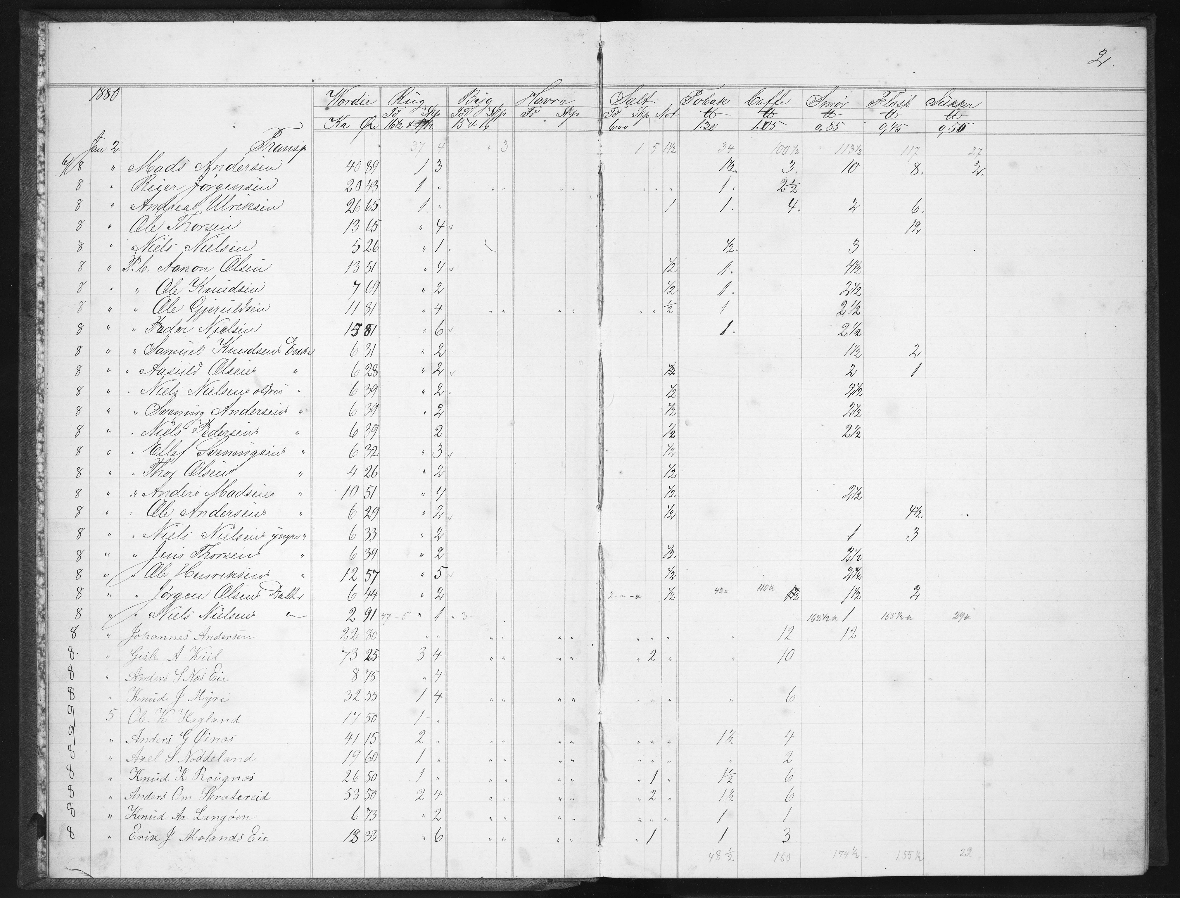 Næs Jernverk, NESJ/NJM-004/11/L0020: Proviant-bok, 1880