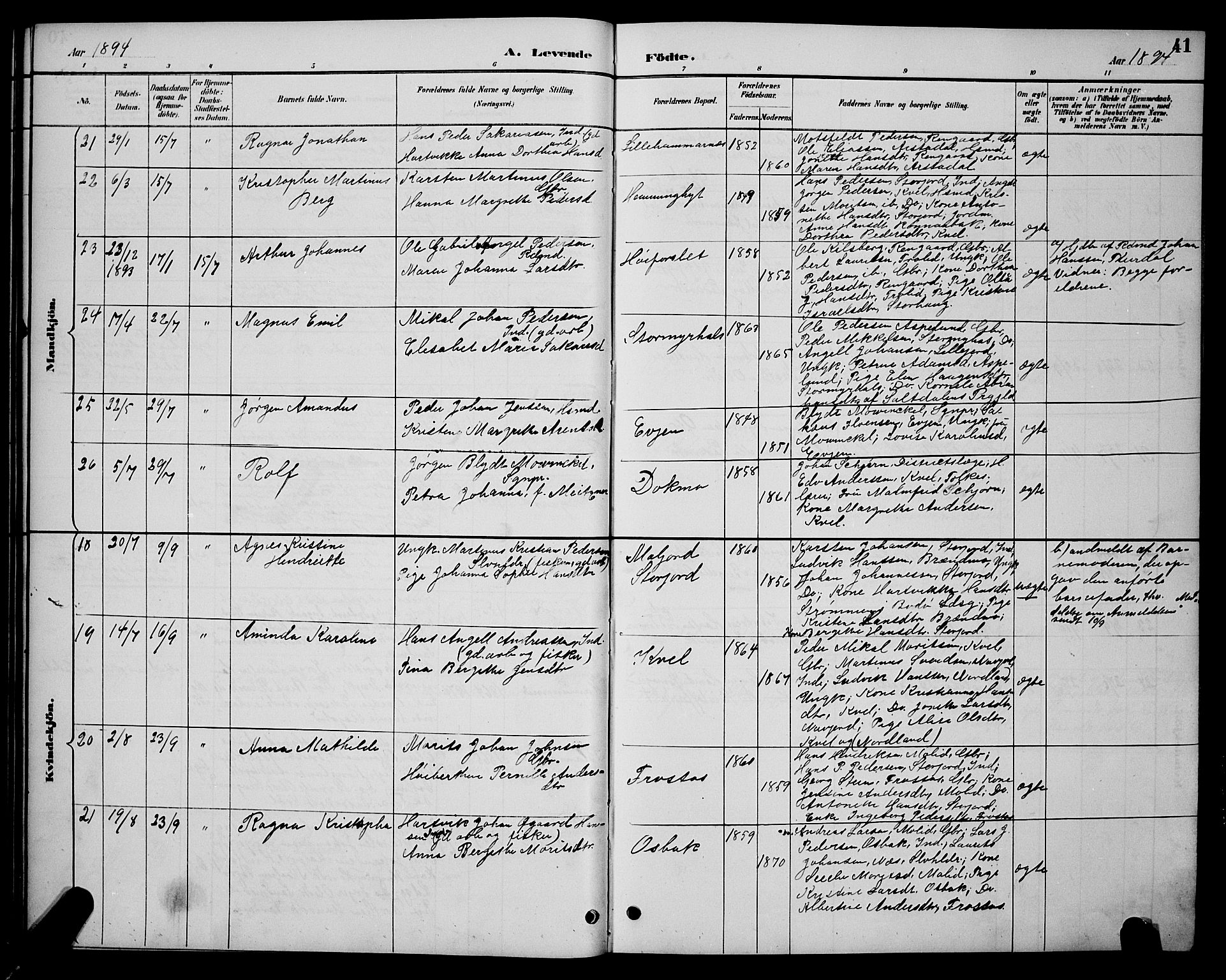 Ministerialprotokoller, klokkerbøker og fødselsregistre - Nordland, AV/SAT-A-1459/846/L0654: Klokkerbok nr. 846C04, 1887-1901, s. 41