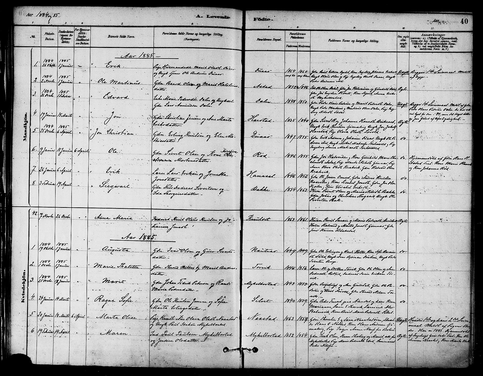 Ministerialprotokoller, klokkerbøker og fødselsregistre - Møre og Romsdal, SAT/A-1454/584/L0967: Ministerialbok nr. 584A07, 1879-1894, s. 40