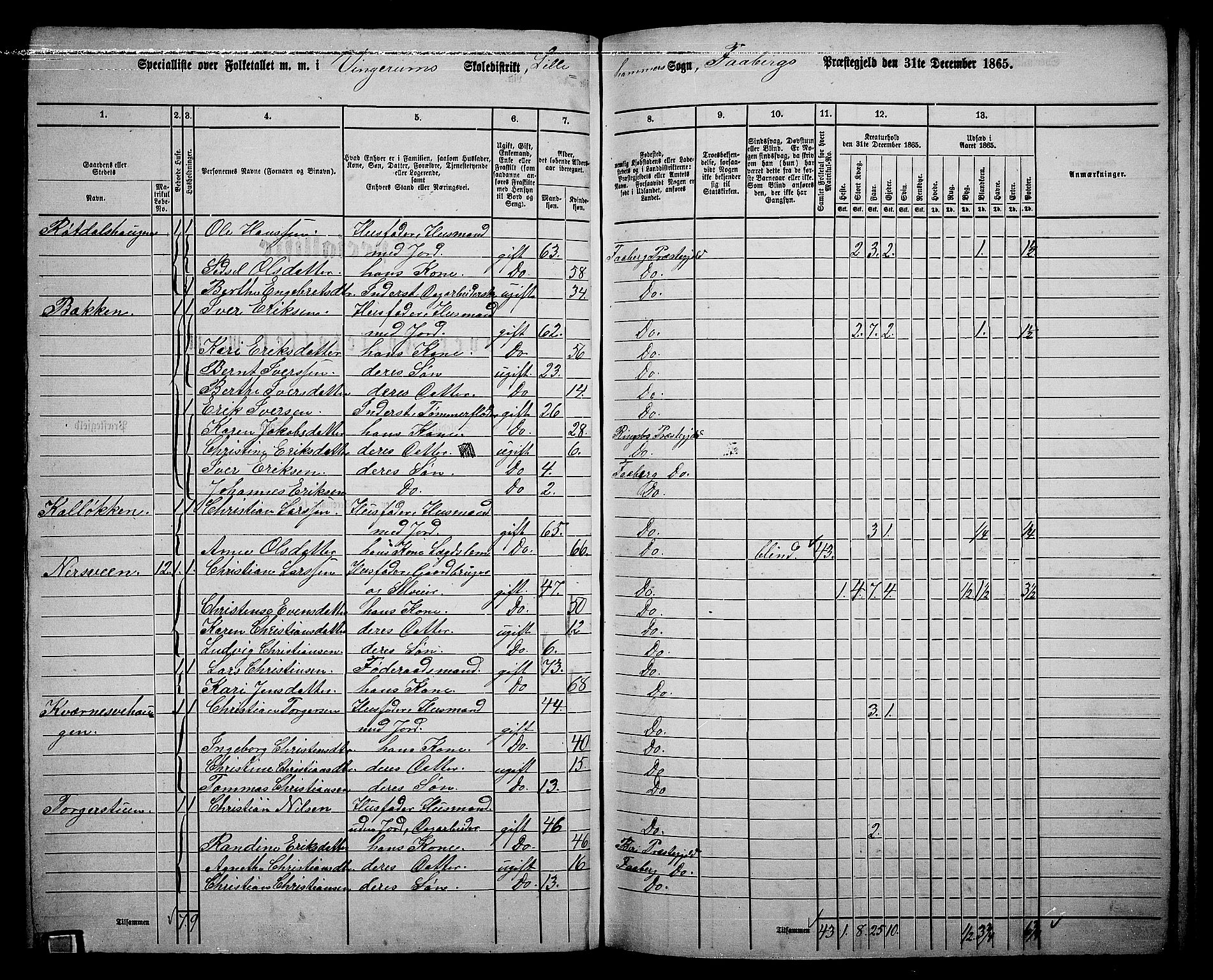 RA, Folketelling 1865 for 0524L Fåberg prestegjeld, Fåberg sokn og Lillehammer landsokn, 1865, s. 171