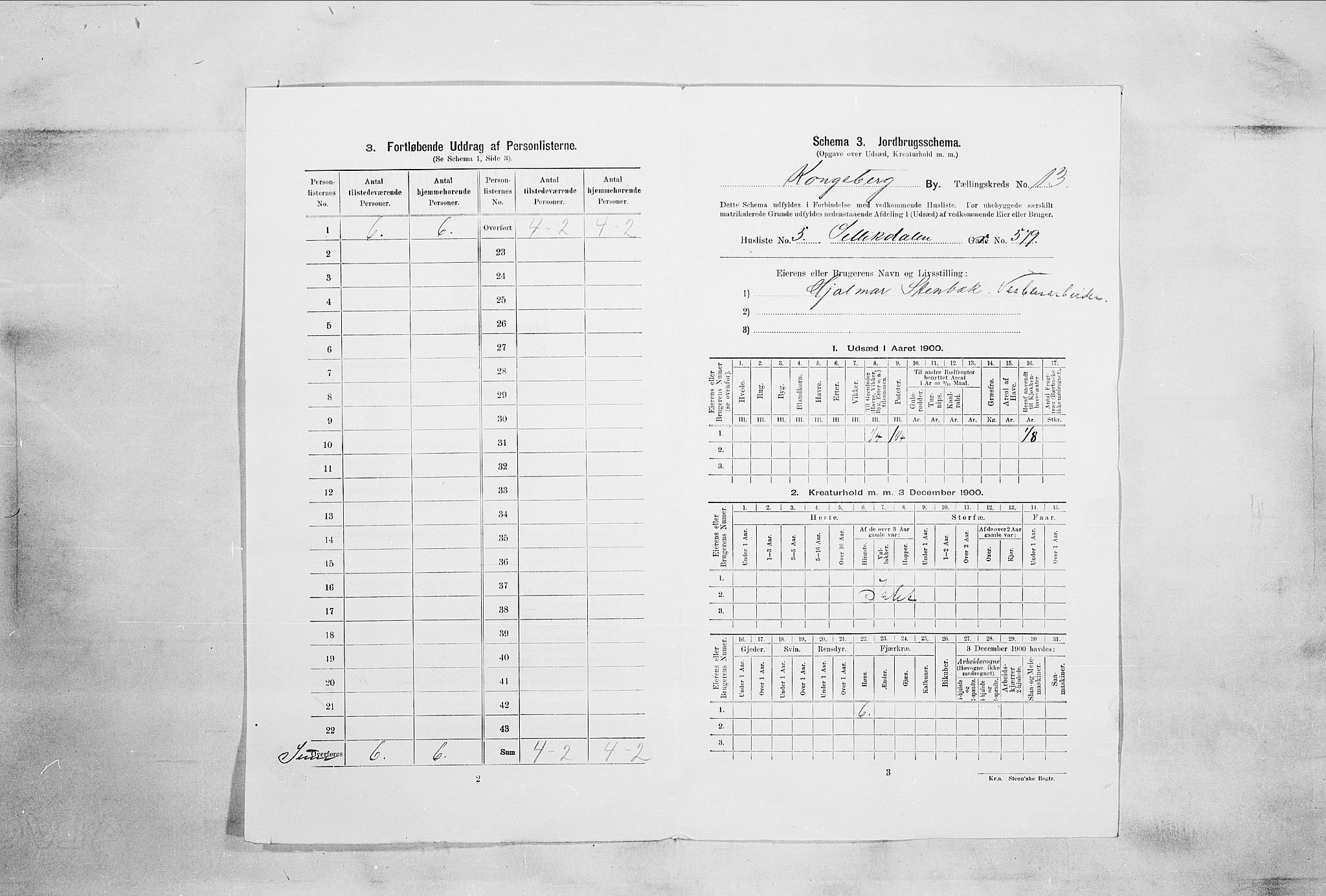 RA, Folketelling 1900 for 0604 Kongsberg kjøpstad, 1900, s. 2247