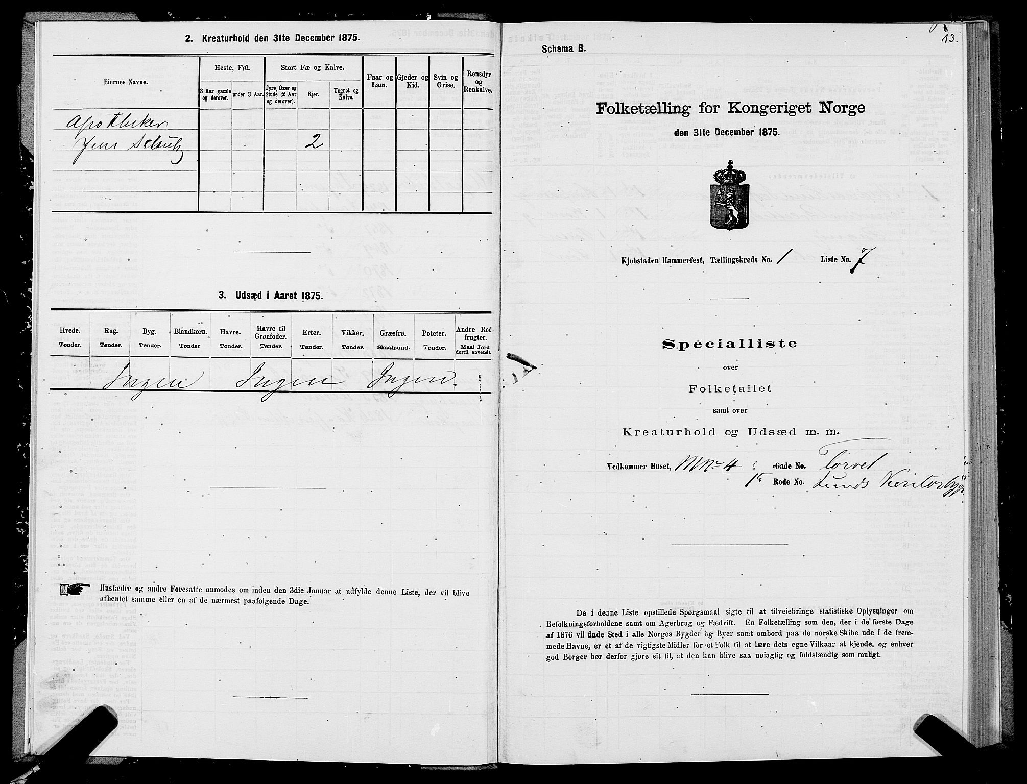 SATØ, Folketelling 1875 for 2001B Hammerfest prestegjeld, Hammerfest kjøpstad, 1875, s. 1013