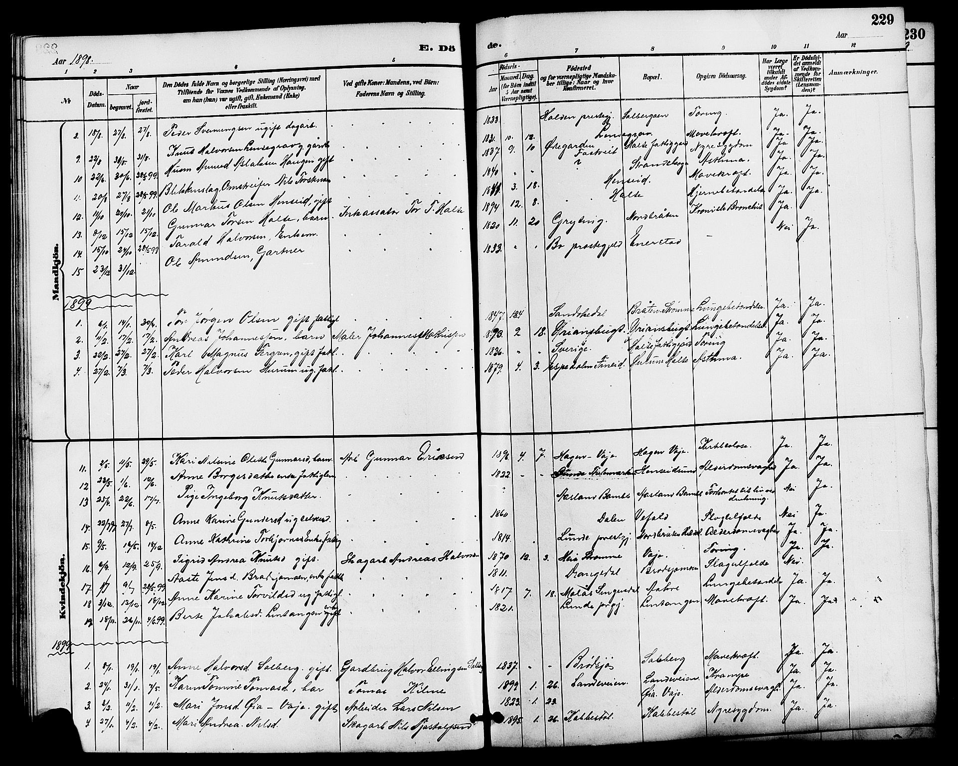 Drangedal kirkebøker, AV/SAKO-A-258/G/Ga/L0003: Klokkerbok nr. I 3, 1887-1906, s. 229