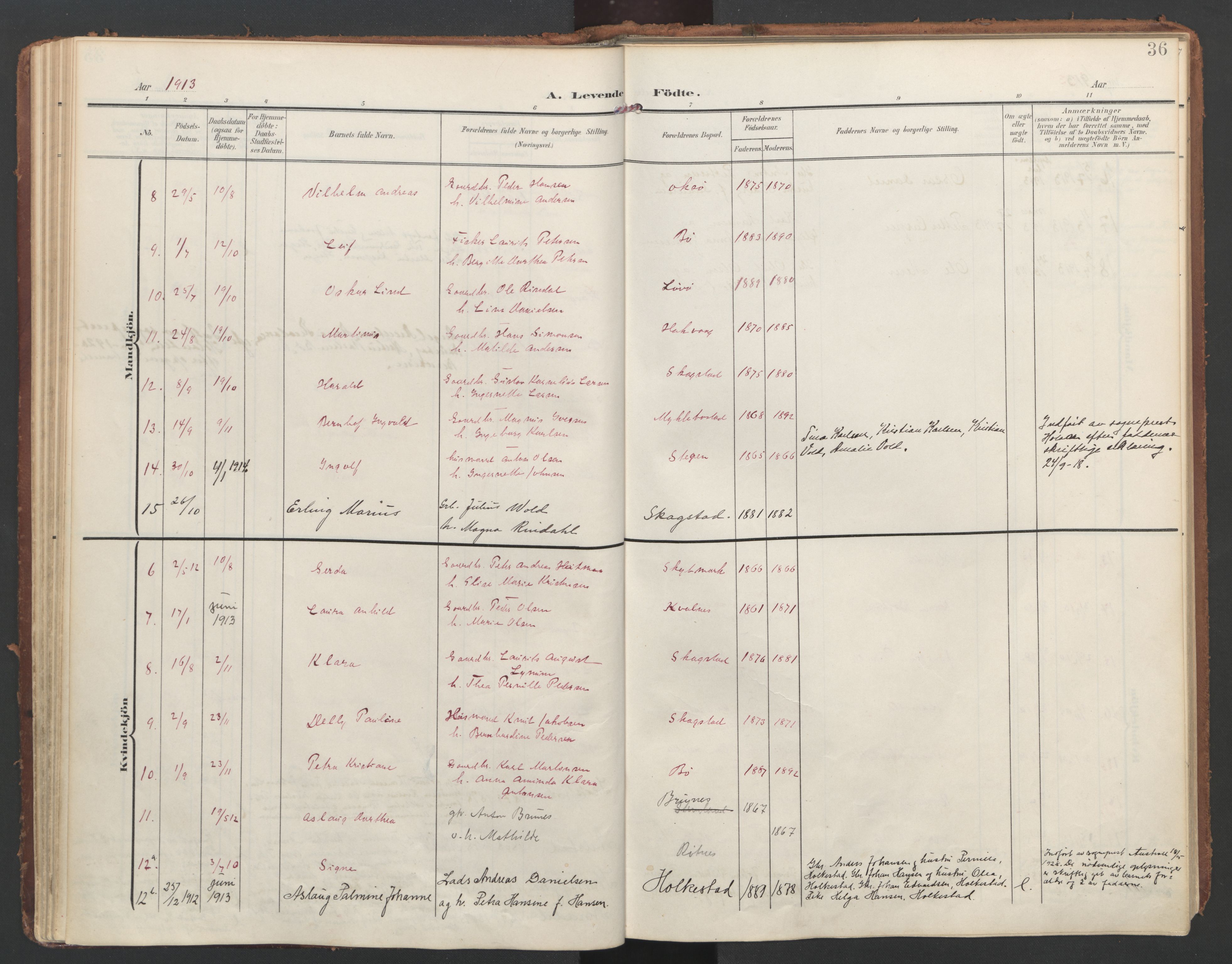 Ministerialprotokoller, klokkerbøker og fødselsregistre - Nordland, SAT/A-1459/855/L0805: Ministerialbok nr. 855A13, 1906-1920, s. 36