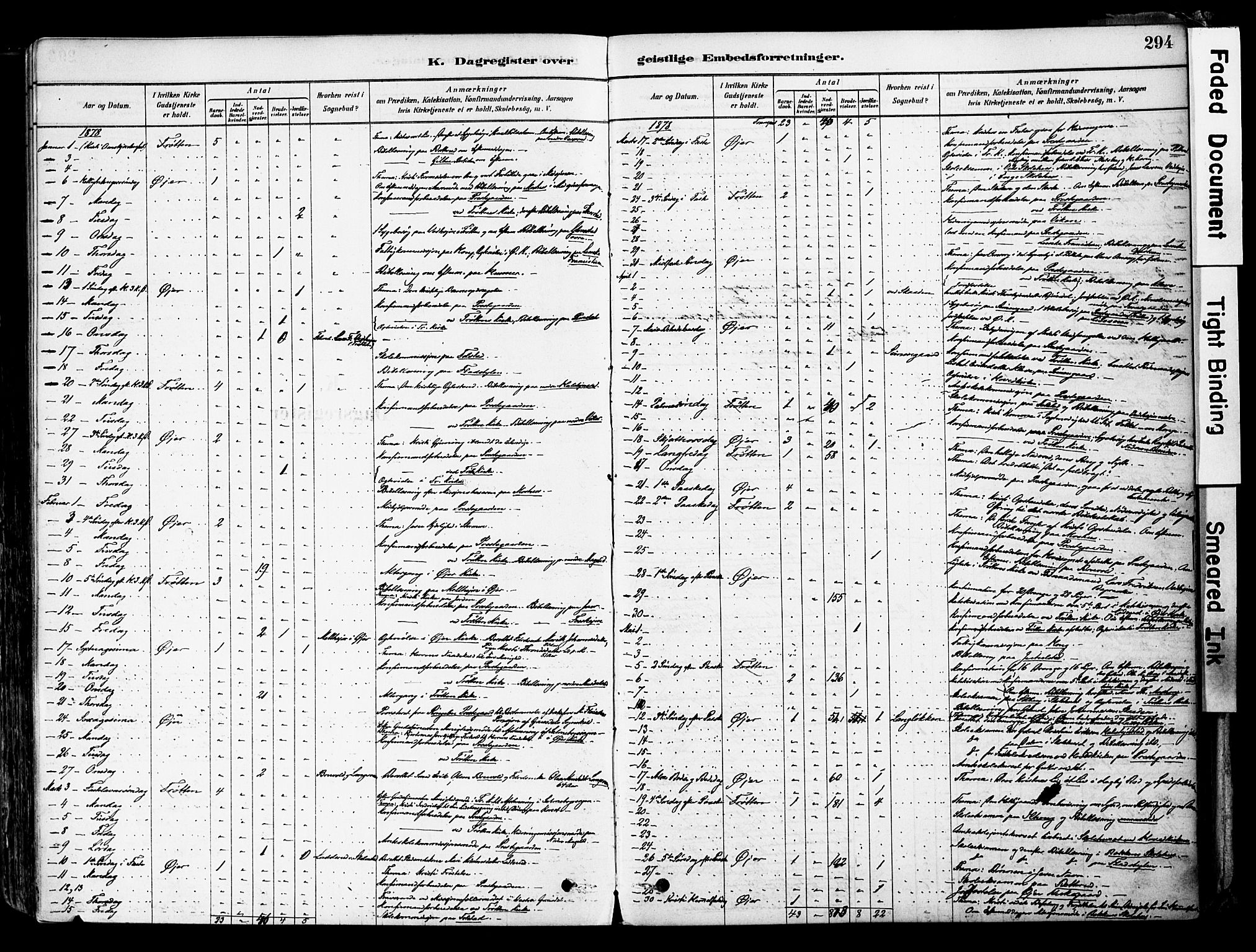 Øyer prestekontor, AV/SAH-PREST-084/H/Ha/Haa/L0008: Ministerialbok nr. 8, 1878-1897, s. 294