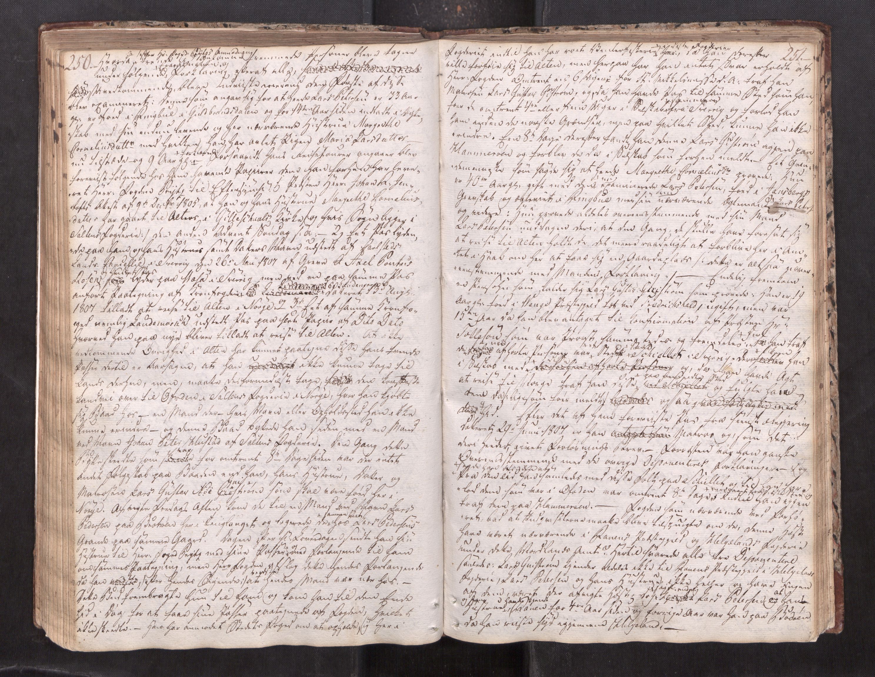 Vesterålen sorenskriveri, AV/SAT-A-4180/1/1/1A/L0015: Tingbok, 1805-1808, s. 250-251