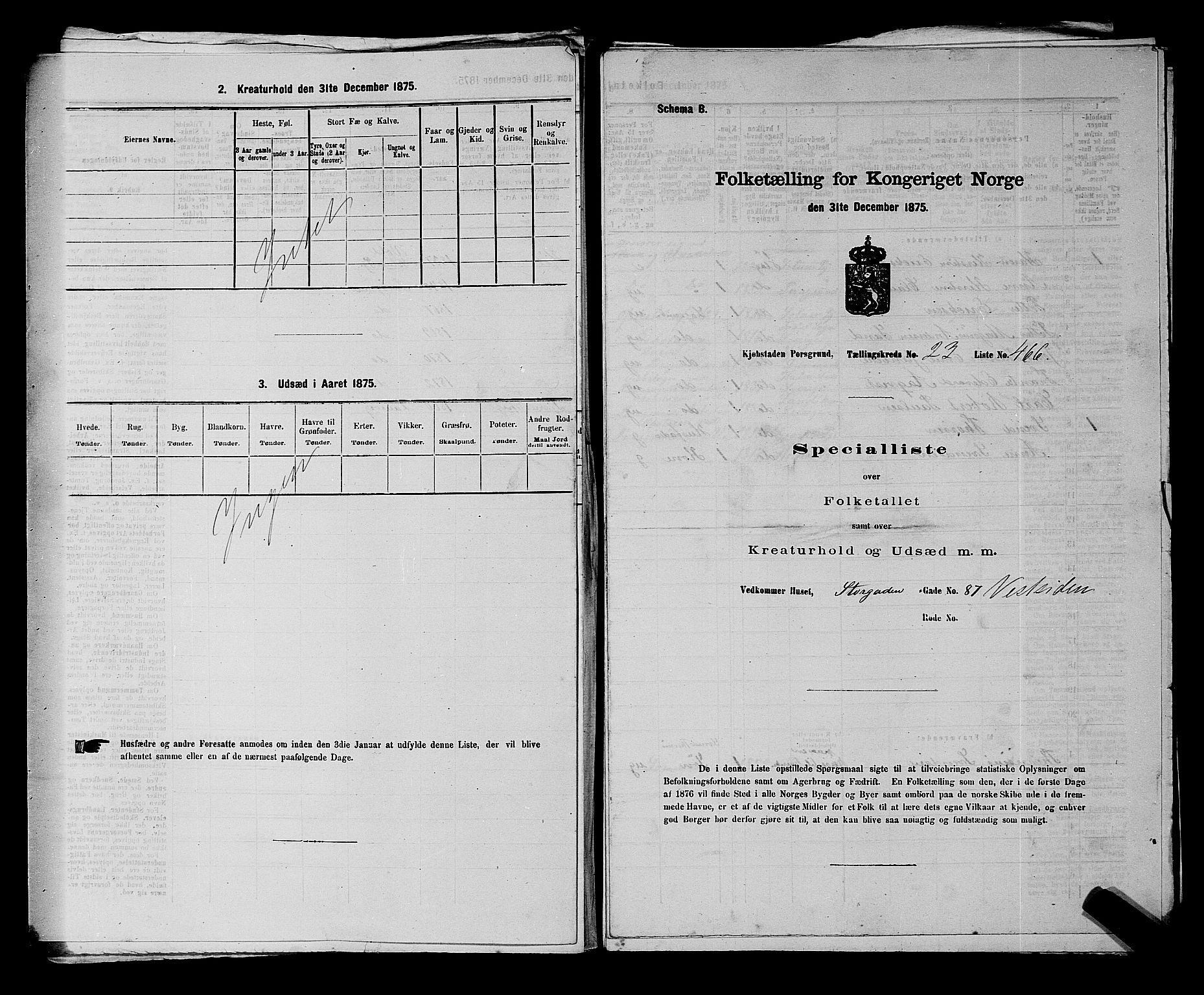 SAKO, Folketelling 1875 for 0805P Porsgrunn prestegjeld, 1875, s. 1043