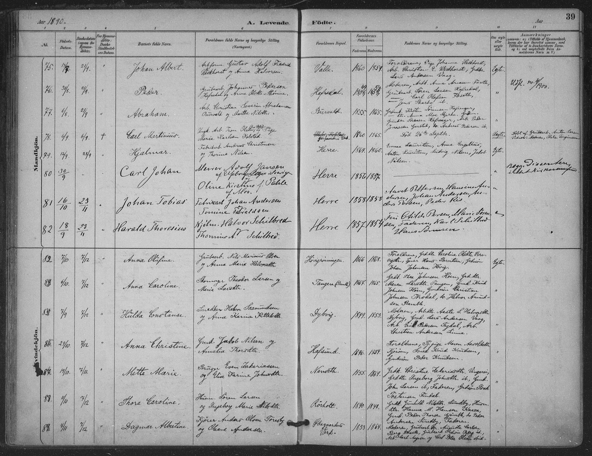 Bamble kirkebøker, AV/SAKO-A-253/F/Fa/L0008: Ministerialbok nr. I 8, 1888-1900, s. 39
