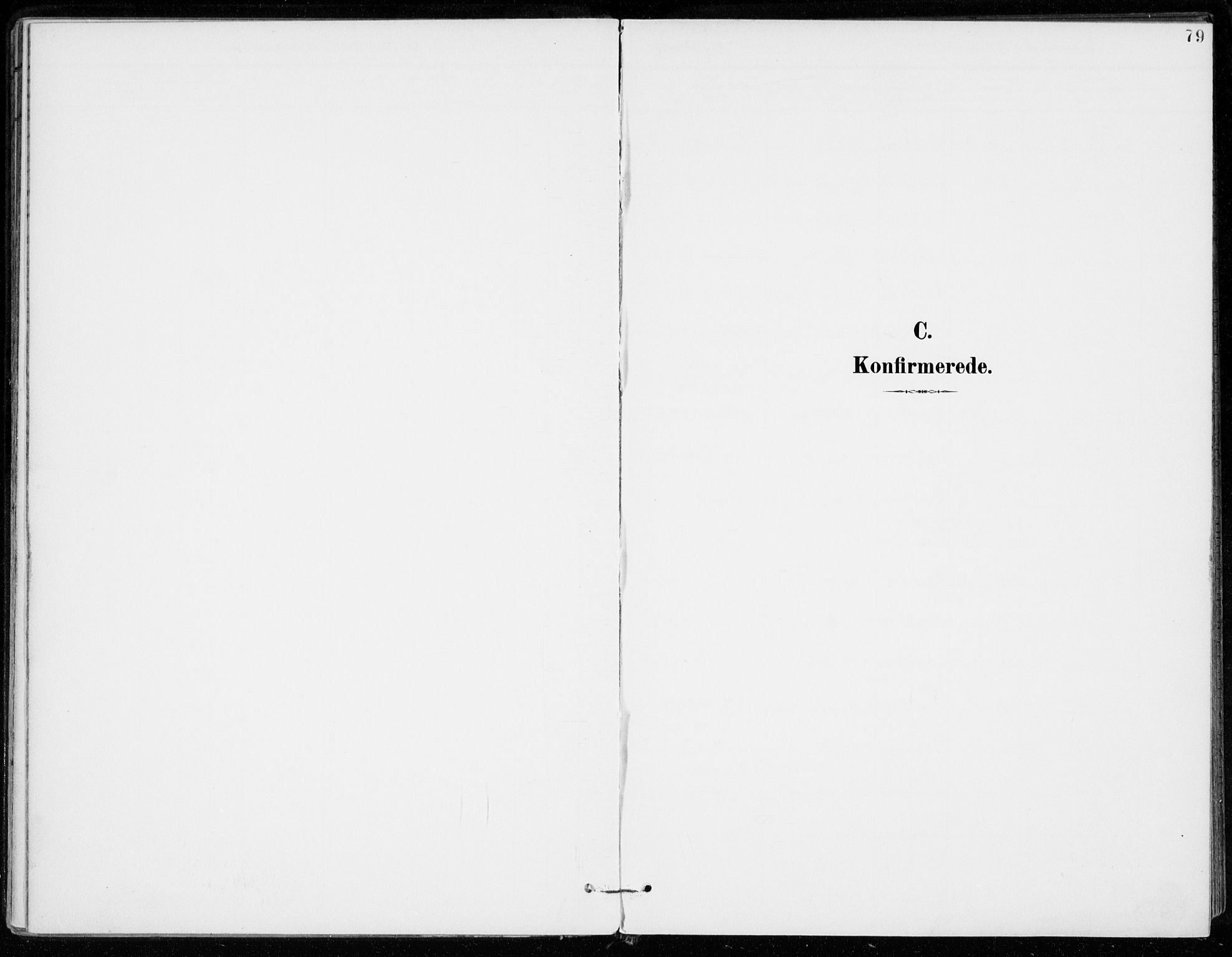 Ål kirkebøker, SAKO/A-249/F/Fa/L0009: Ministerialbok nr. I 9, 1897-1915, s. 79