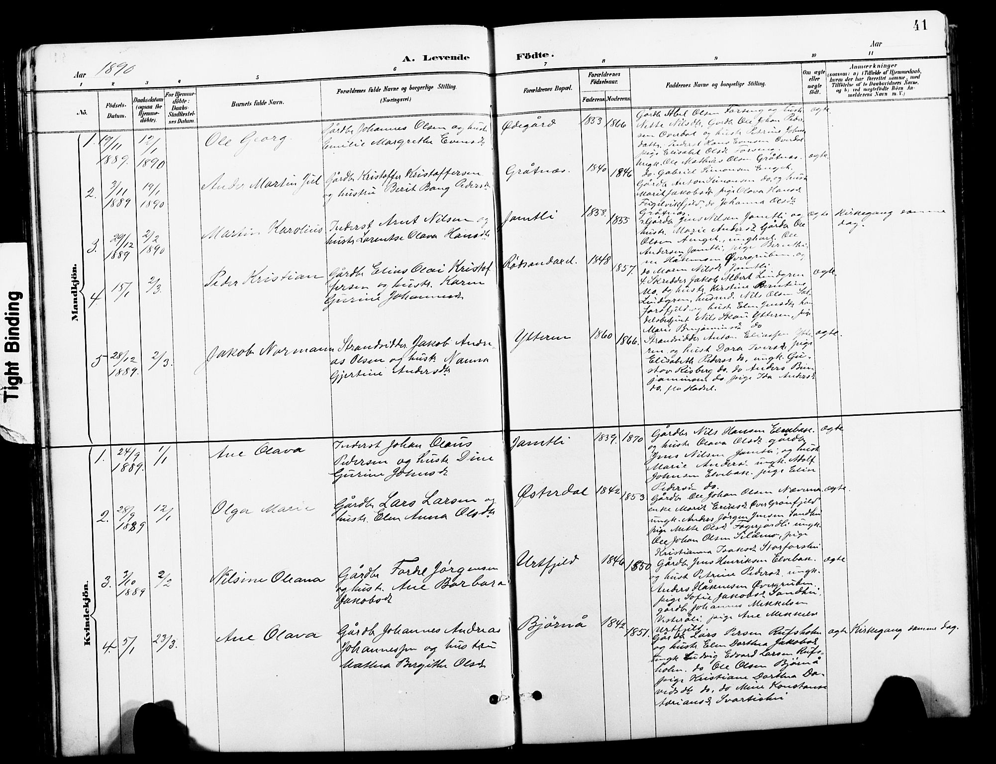 Ministerialprotokoller, klokkerbøker og fødselsregistre - Nordland, AV/SAT-A-1459/827/L0421: Klokkerbok nr. 827C10, 1887-1906, s. 41