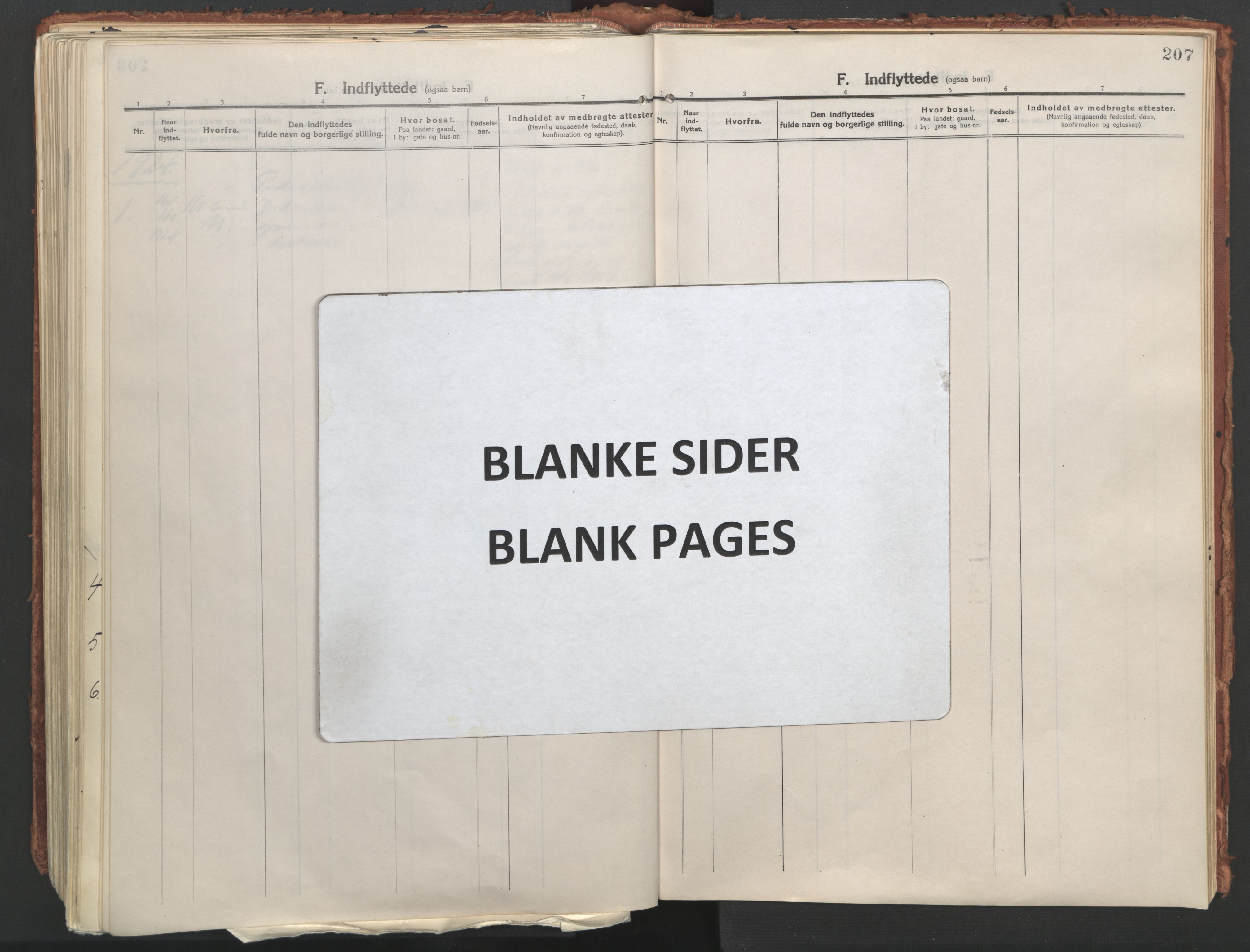 Ministerialprotokoller, klokkerbøker og fødselsregistre - Møre og Romsdal, AV/SAT-A-1454/529/L0462: Ministerialbok nr. 529A12, 1917-1924, s. 207