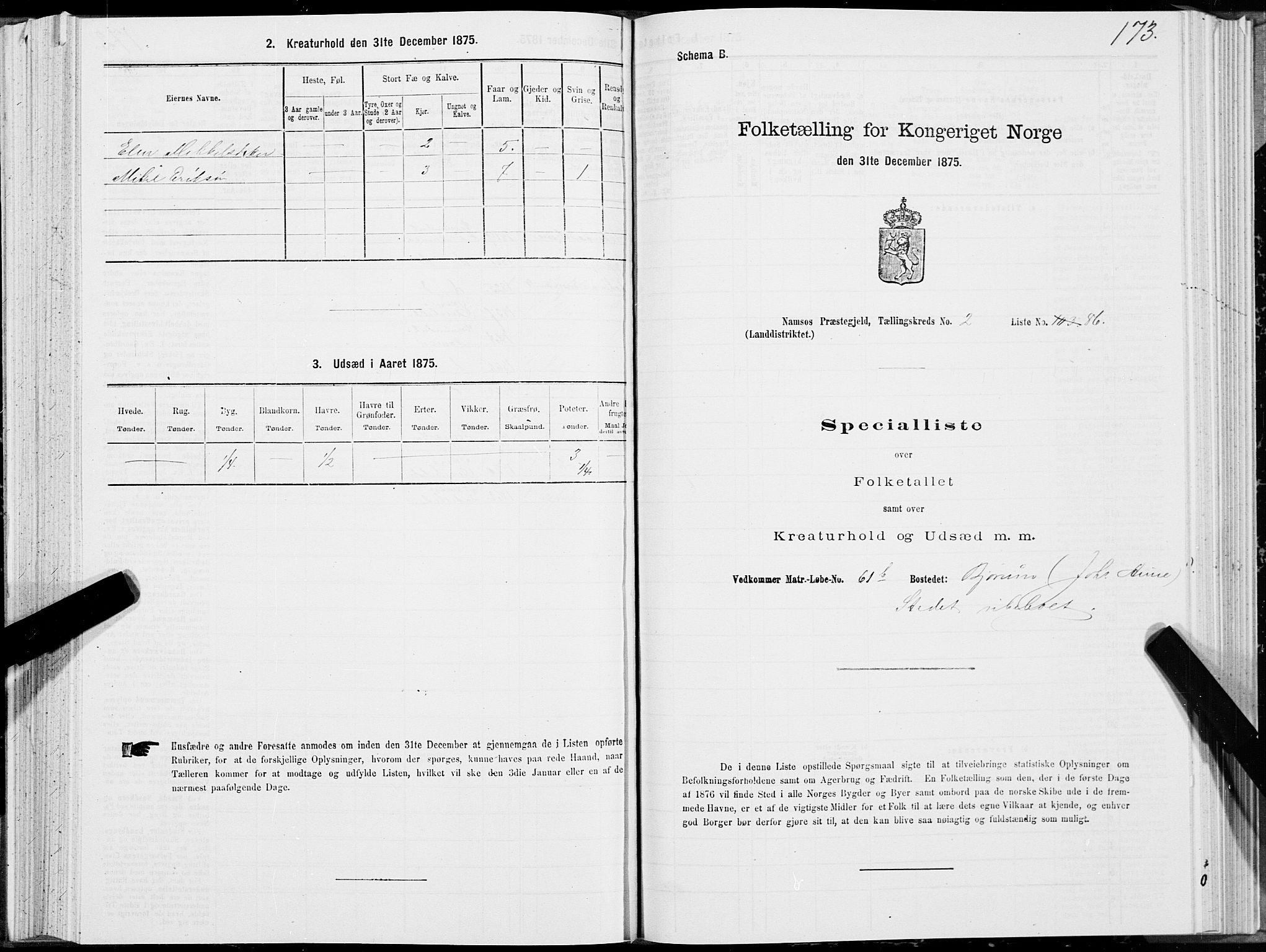 SAT, Folketelling 1875 for 1745L Namsos prestegjeld, Vemundvik sokn og Sævik sokn, 1875, s. 2173