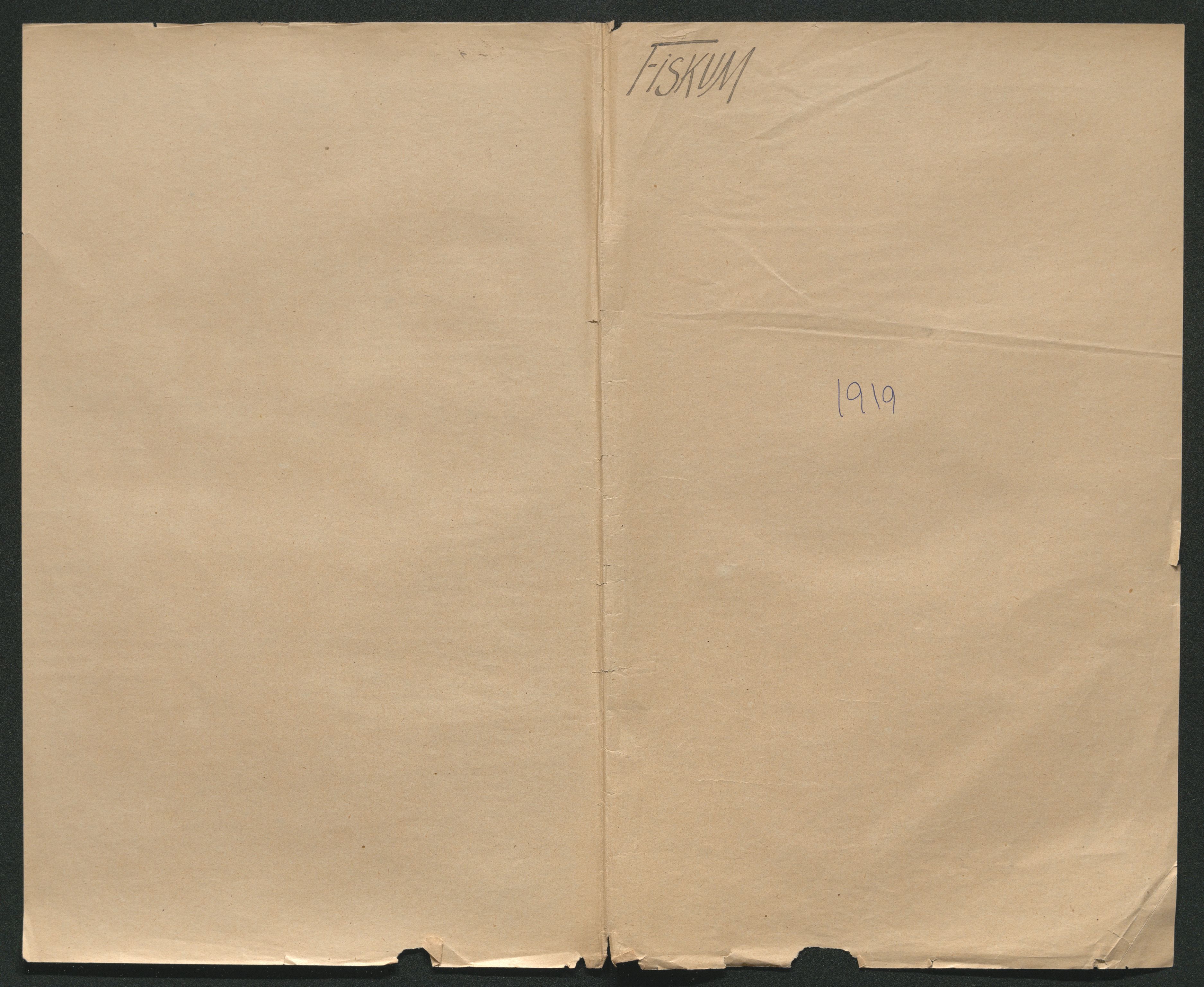 Eiker, Modum og Sigdal sorenskriveri, SAKO/A-123/H/Ha/Hab/L0039: Dødsfallsmeldinger, 1918-1919, s. 842