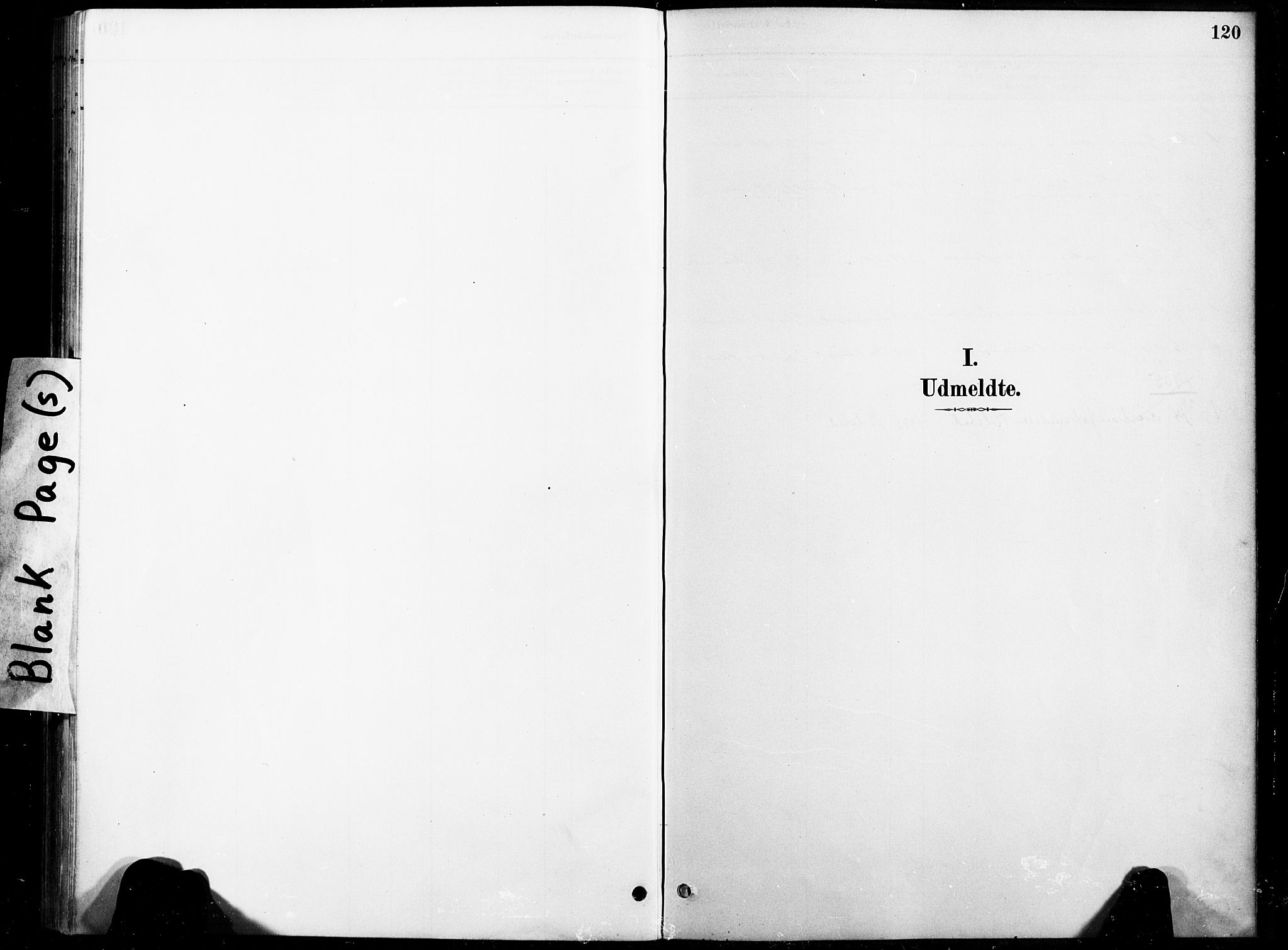 Ministerialprotokoller, klokkerbøker og fødselsregistre - Nord-Trøndelag, AV/SAT-A-1458/738/L0364: Ministerialbok nr. 738A01, 1884-1902, s. 120