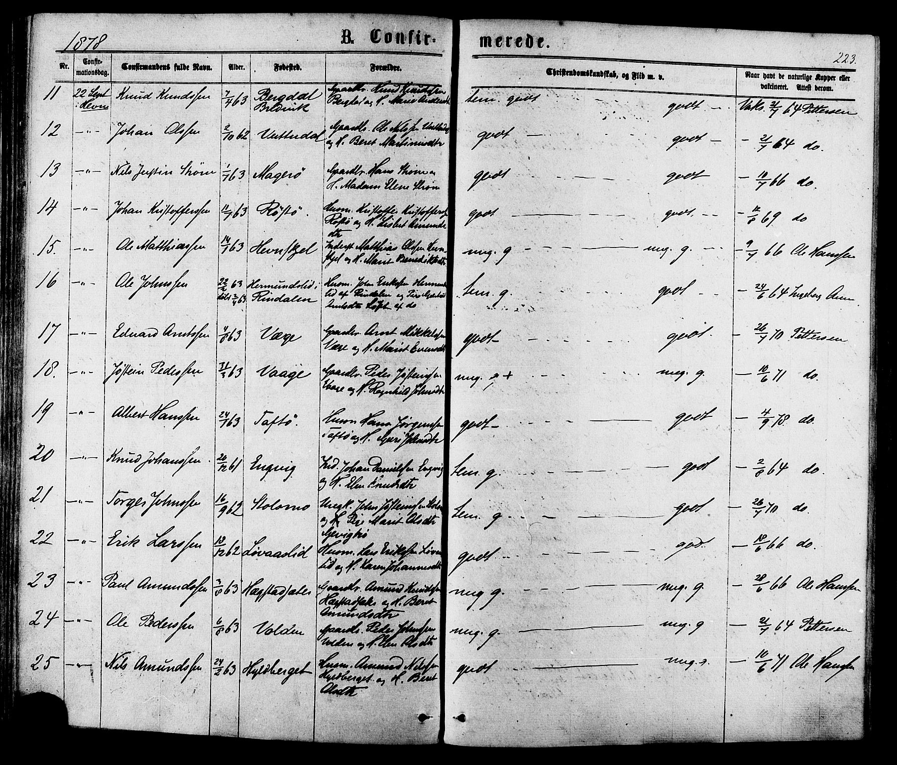 Ministerialprotokoller, klokkerbøker og fødselsregistre - Sør-Trøndelag, SAT/A-1456/630/L0495: Ministerialbok nr. 630A08, 1868-1878, s. 223